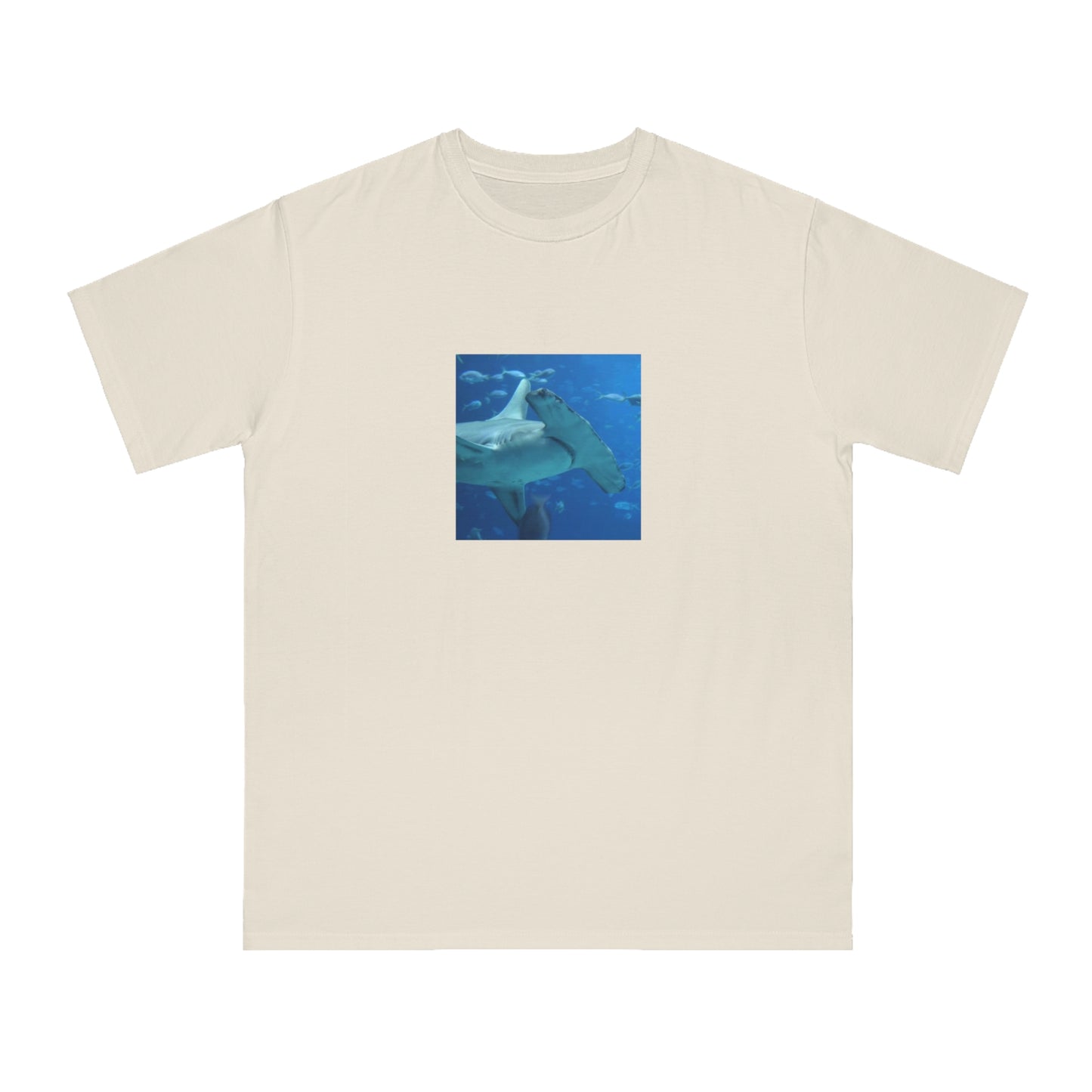 Hammerhead Shark