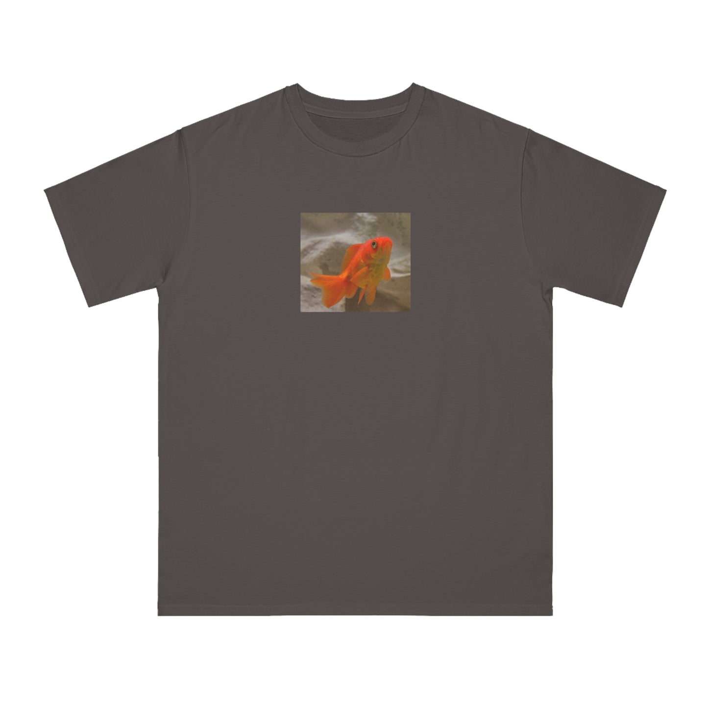 Goldfish