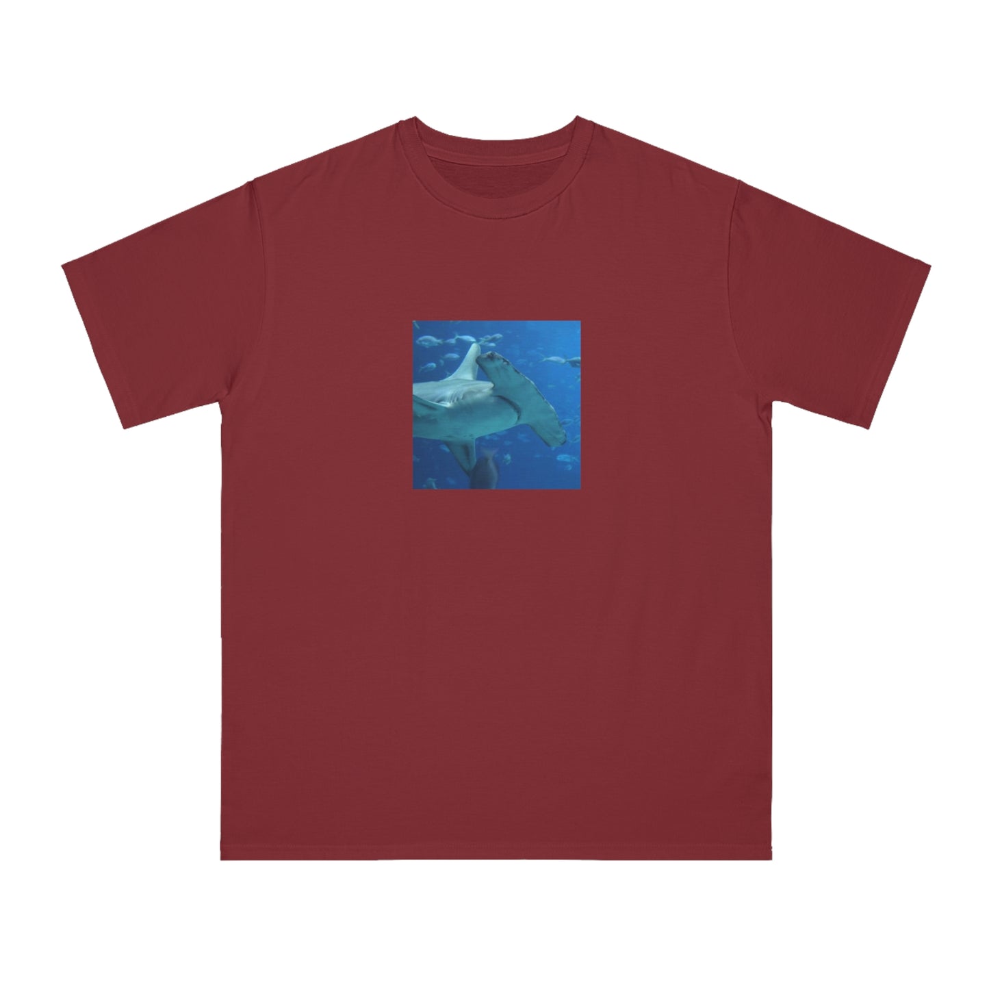 Hammerhead Shark