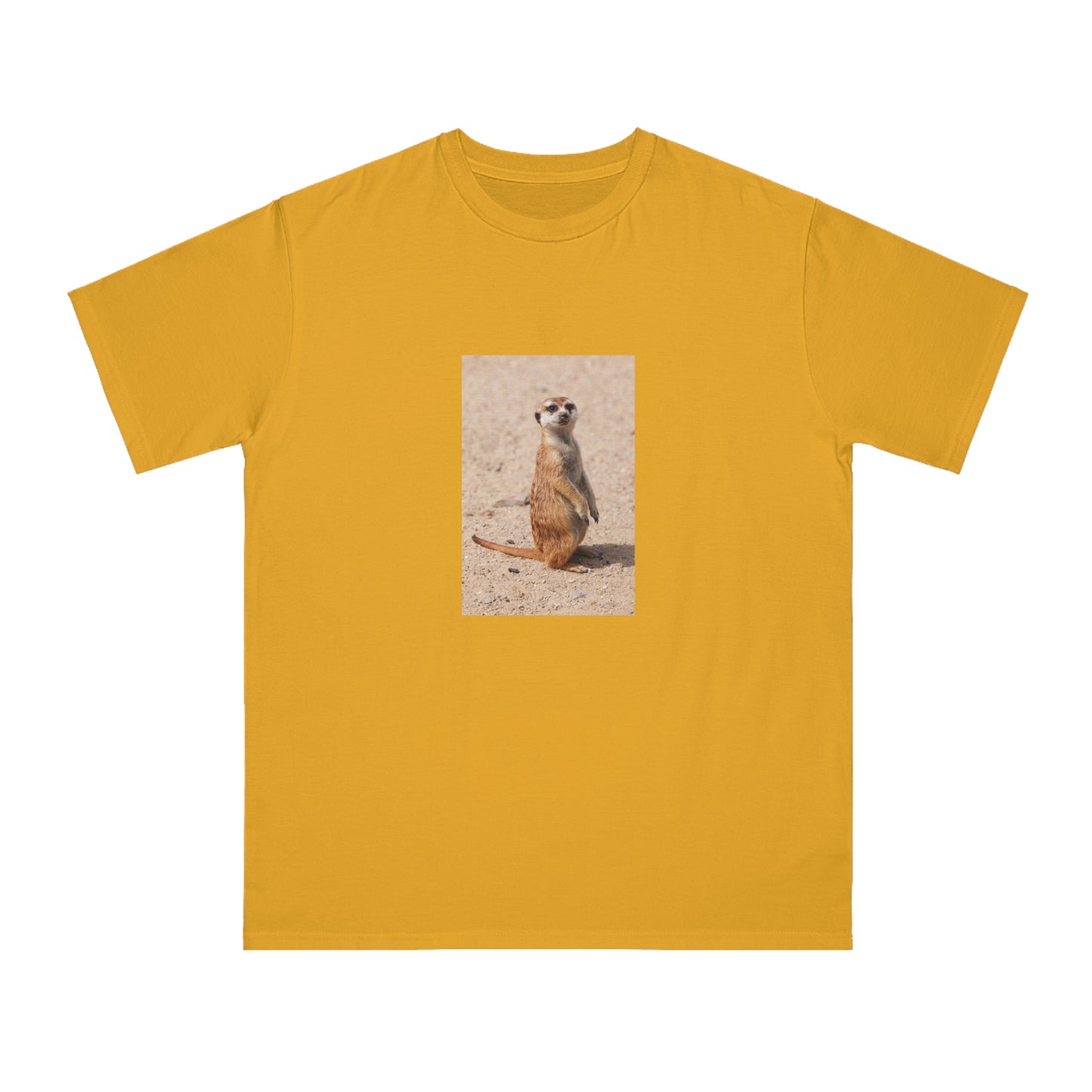 Meerkat