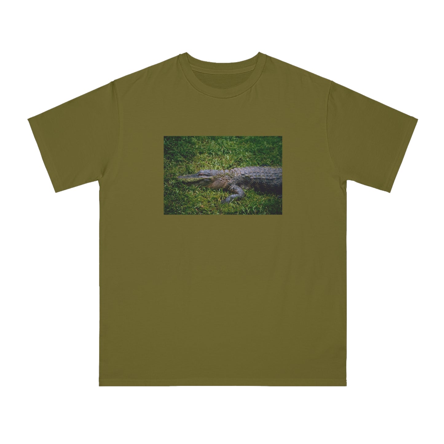 Alligator