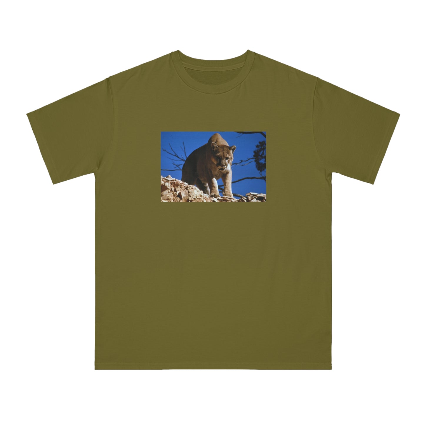 Mountain Lion