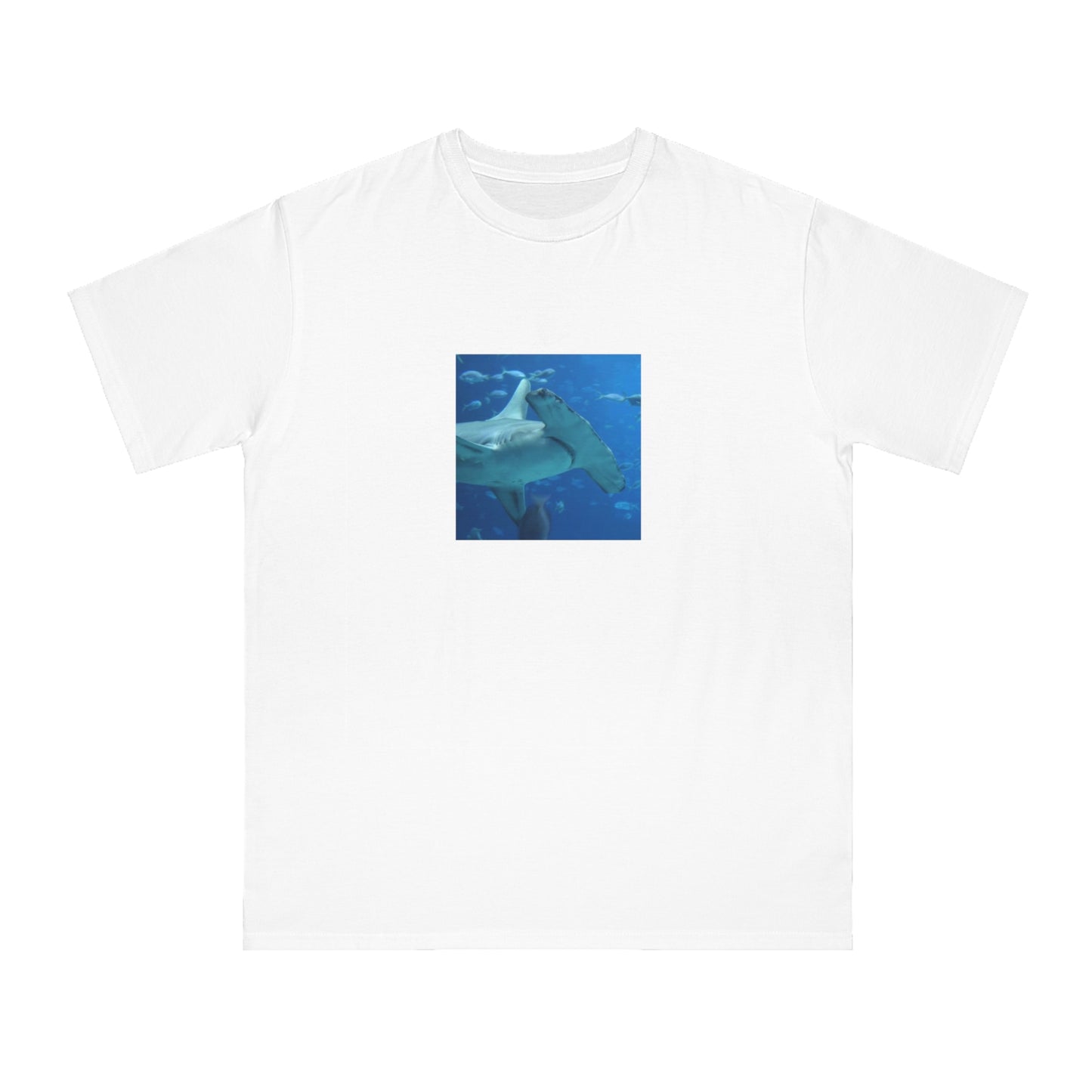 Hammerhead Shark