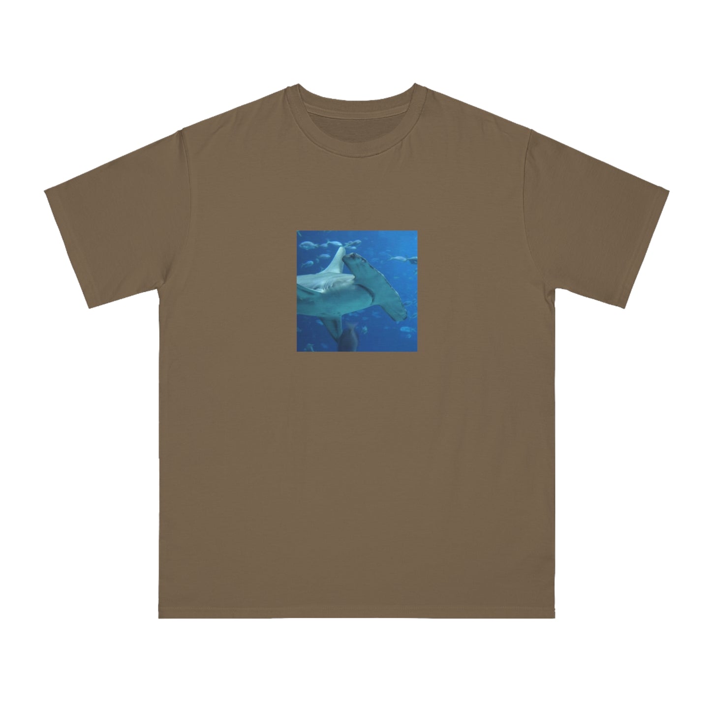 Hammerhead Shark