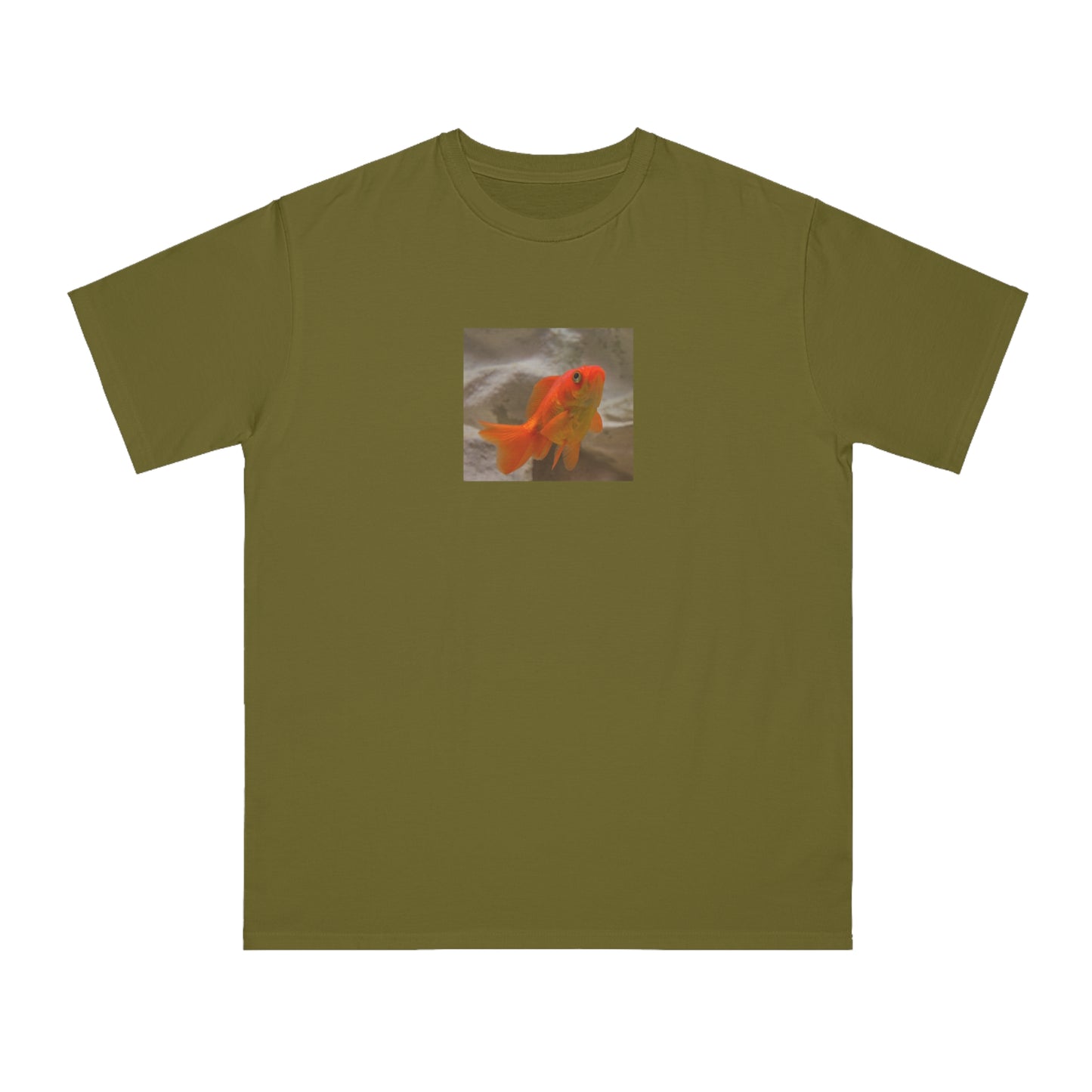 Goldfish