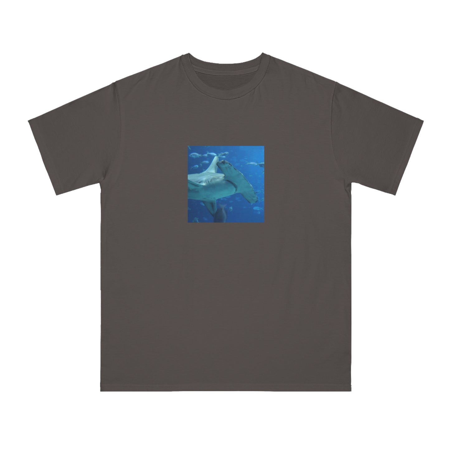 Hammerhead Shark