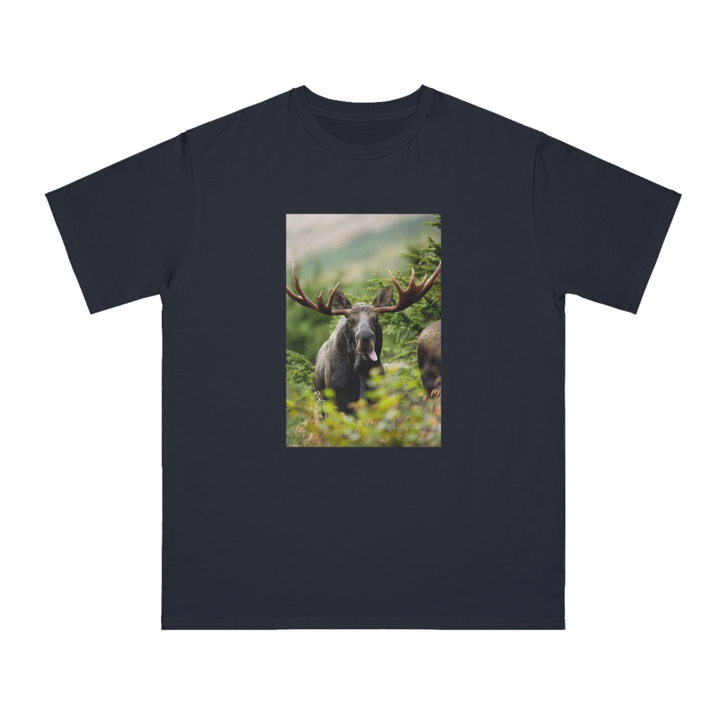Moose