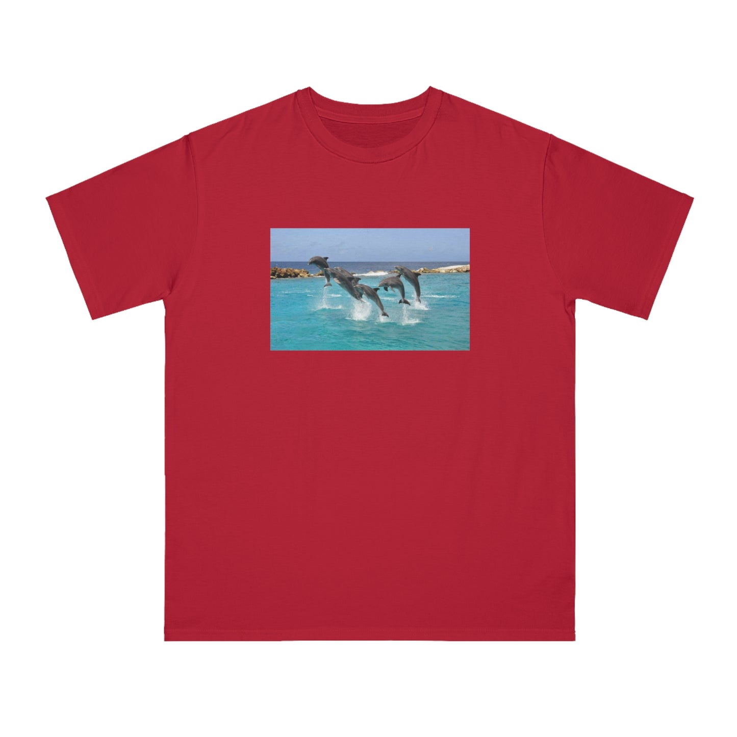 Dolphin