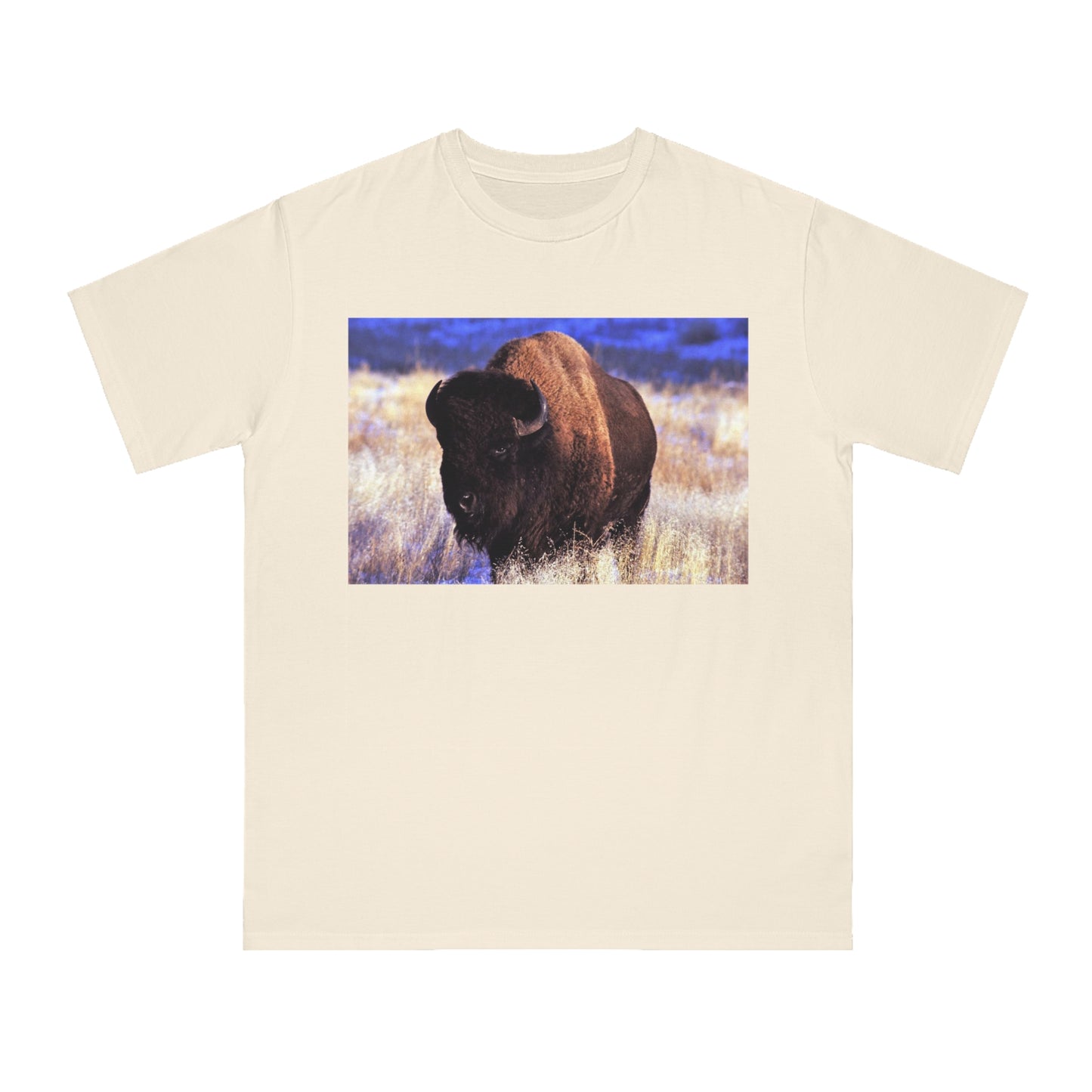 Buffalo