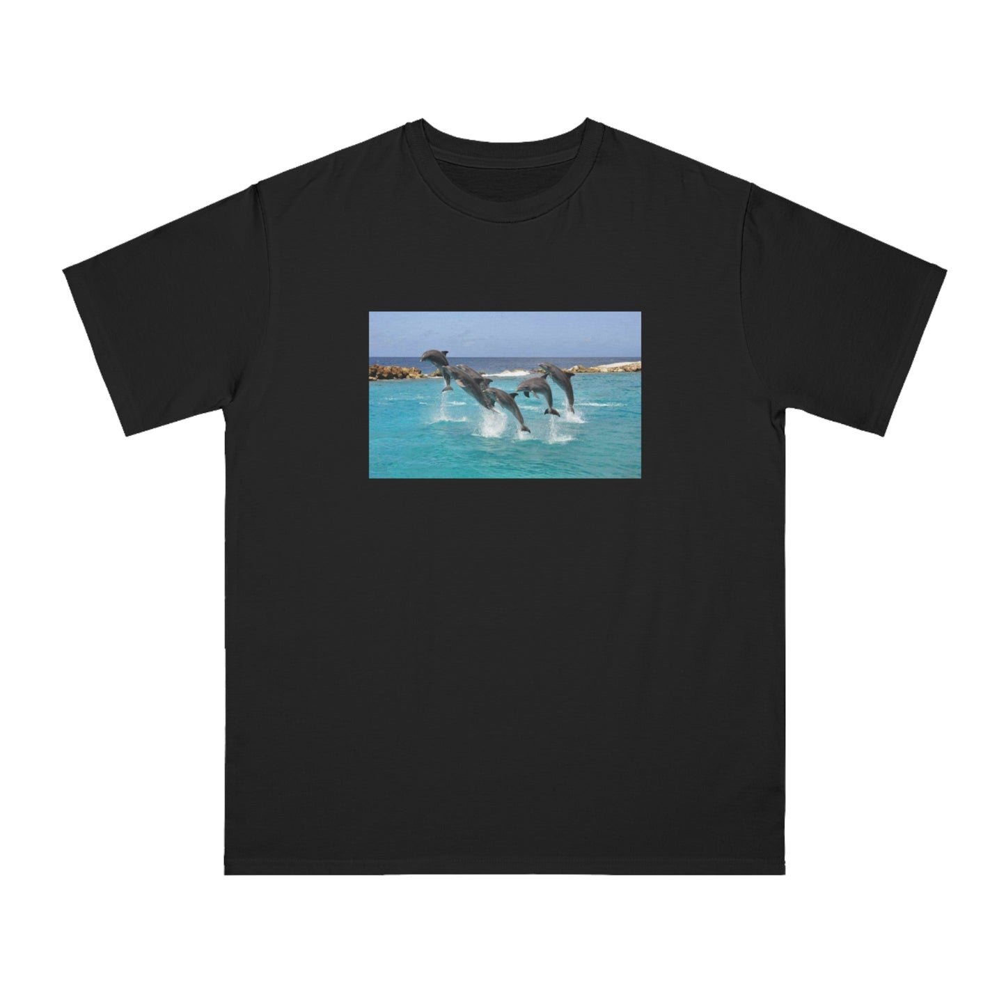 Dolphin