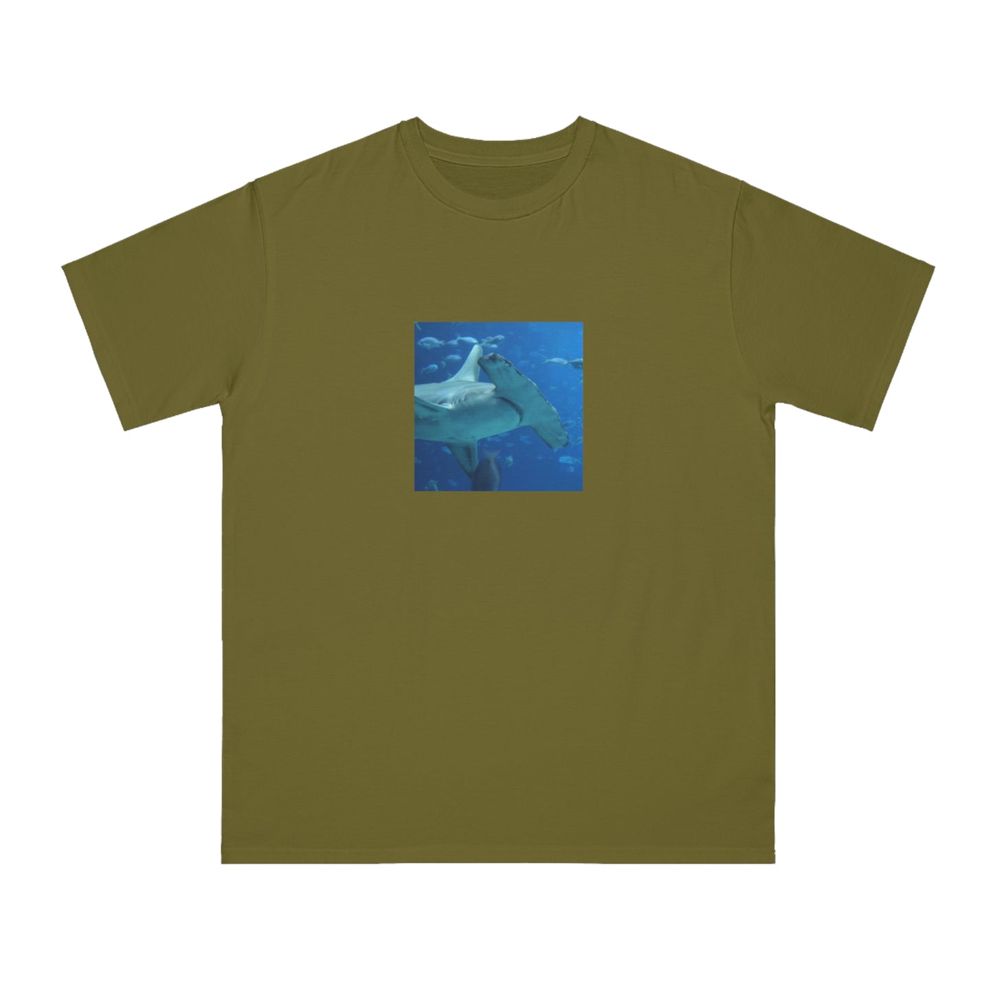 Hammerhead Shark