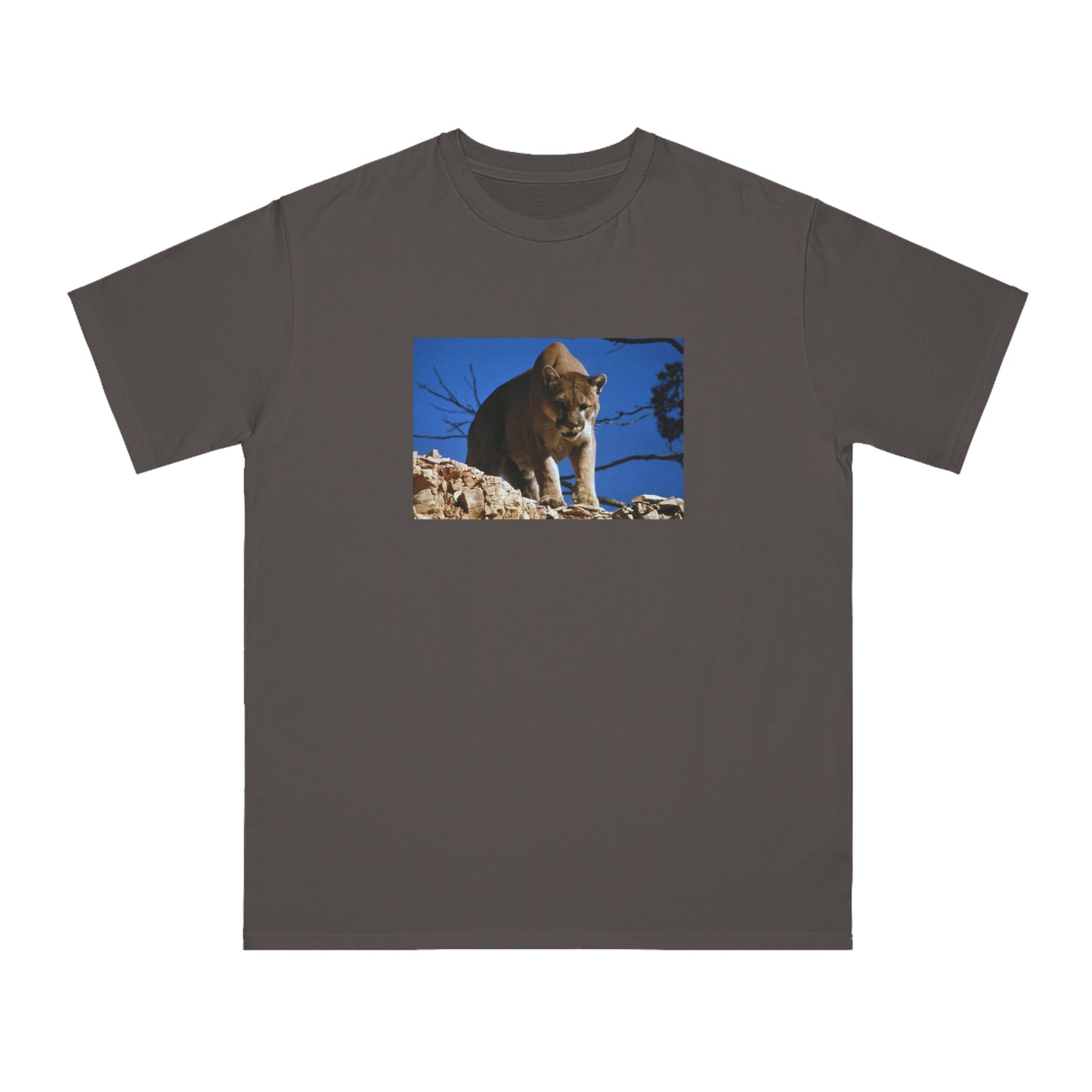 Mountain Lion