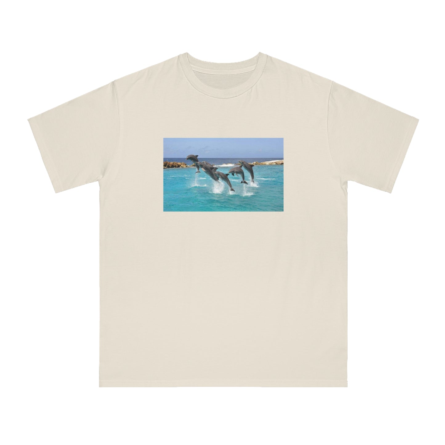 Dolphin