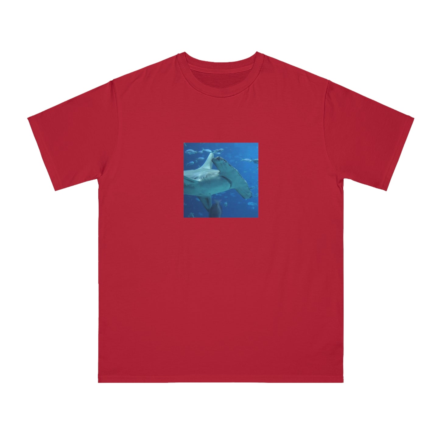 Hammerhead Shark