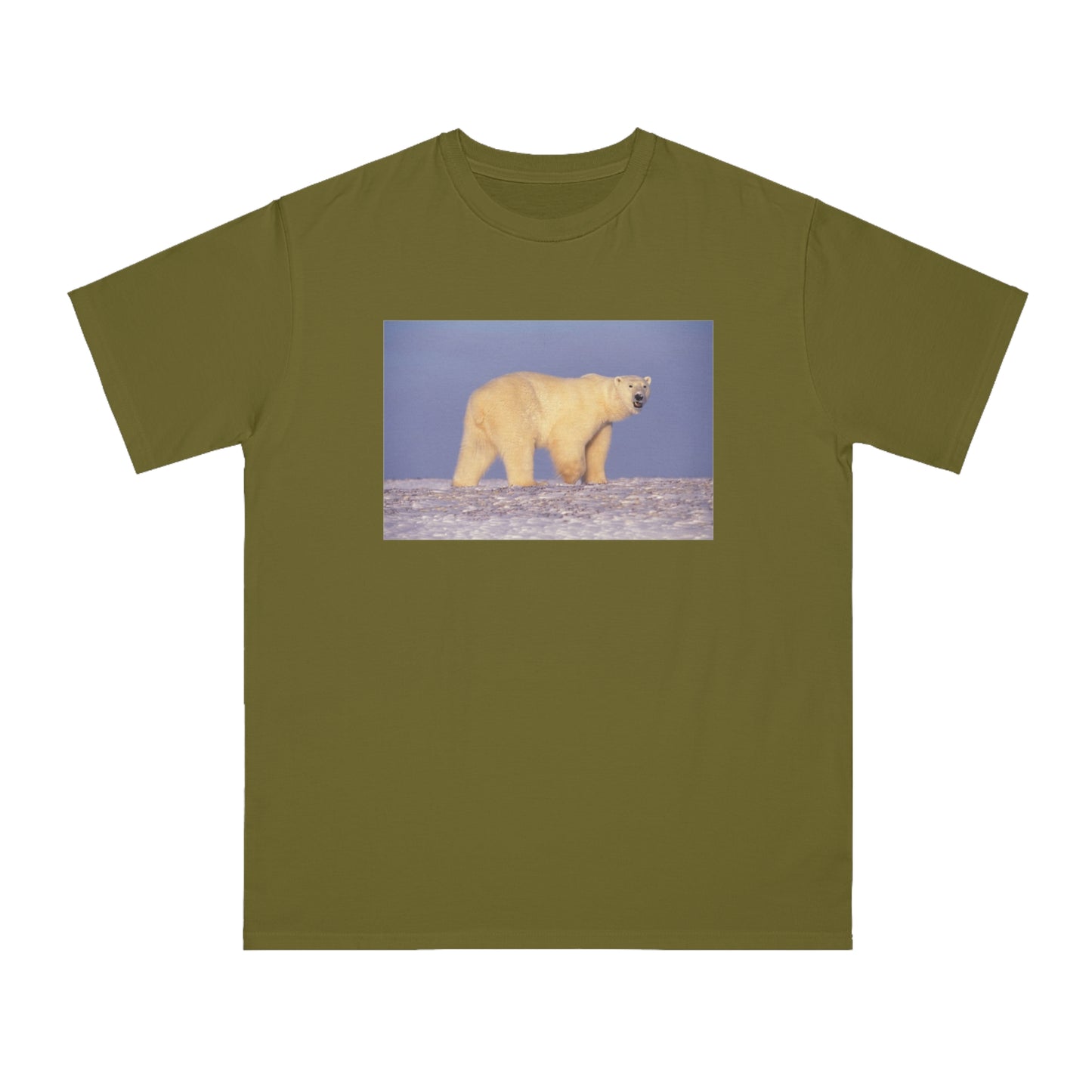 Polar Bear