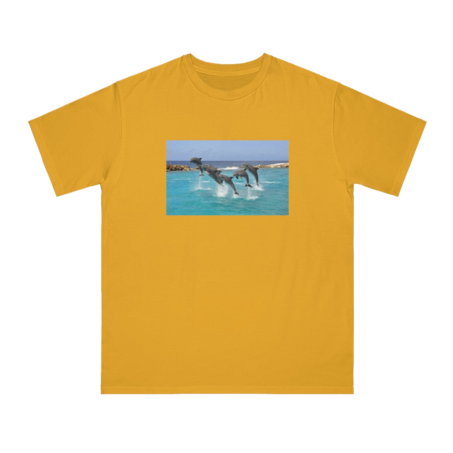 Dolphin