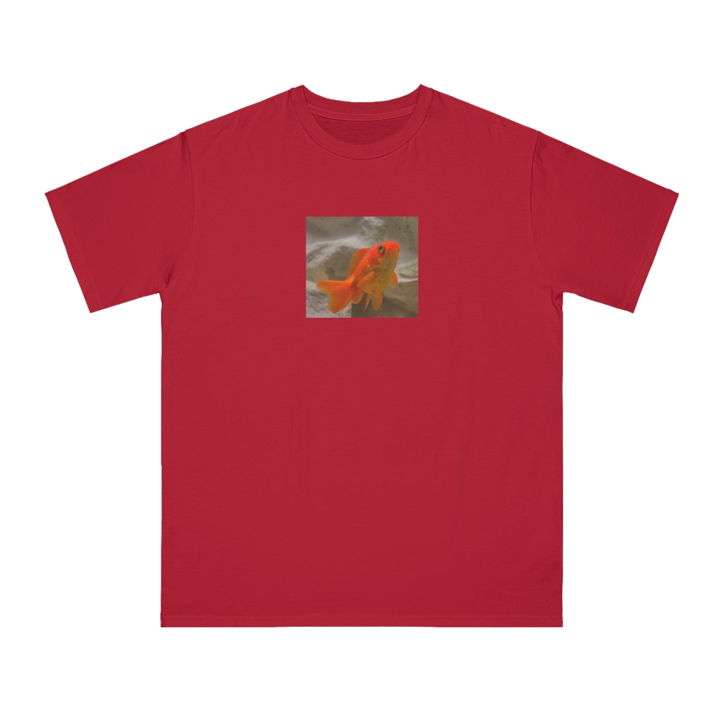 Goldfish