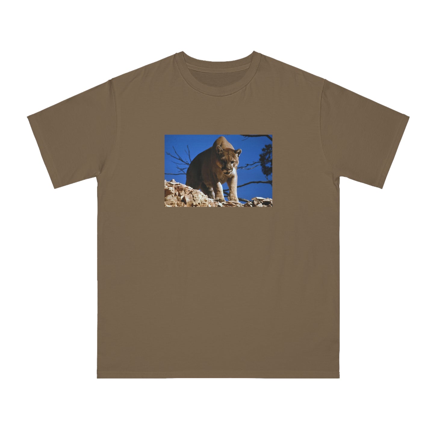 Mountain Lion