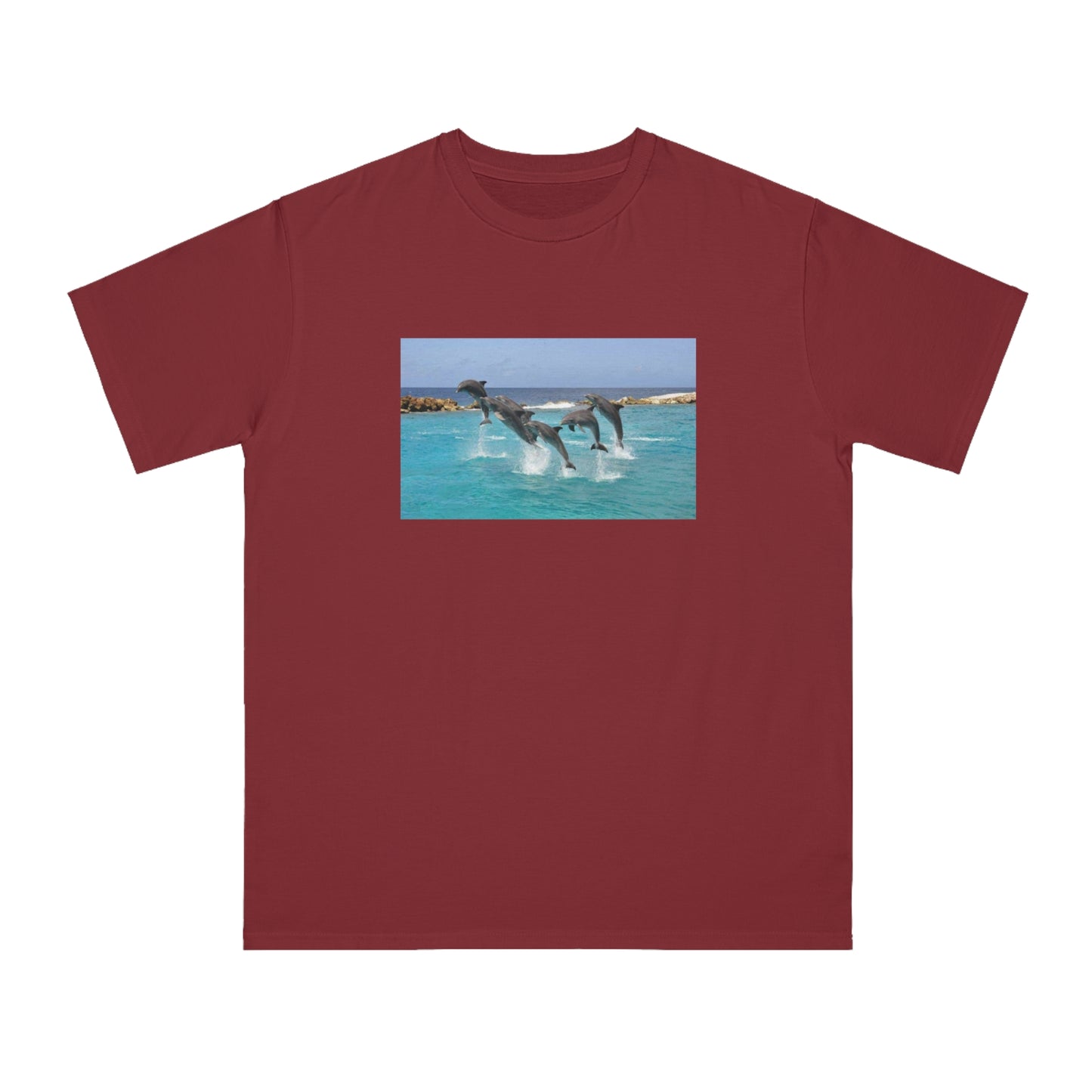 Dolphin