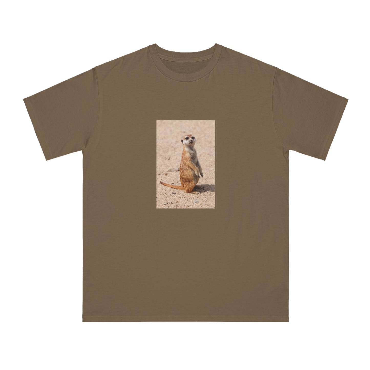 Meerkat