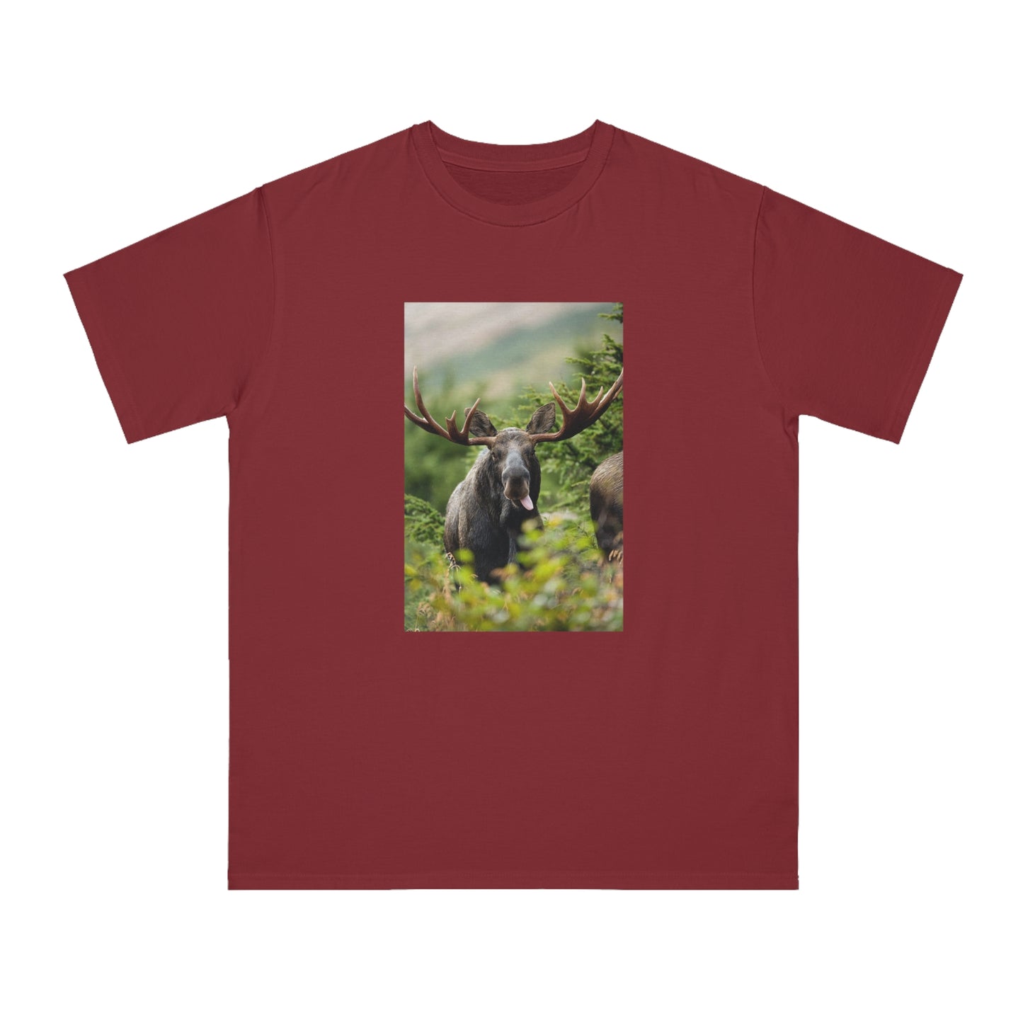 Moose