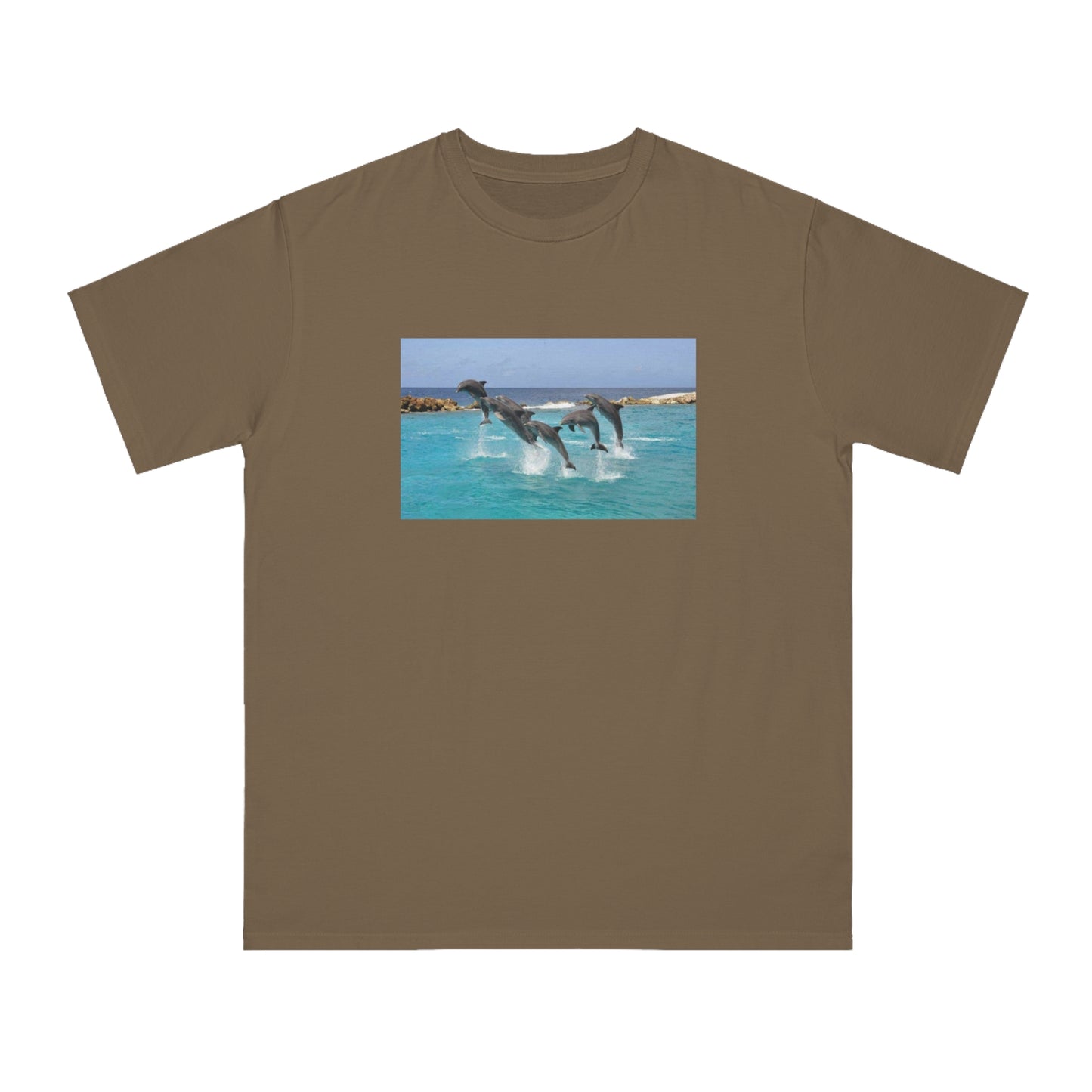 Dolphin
