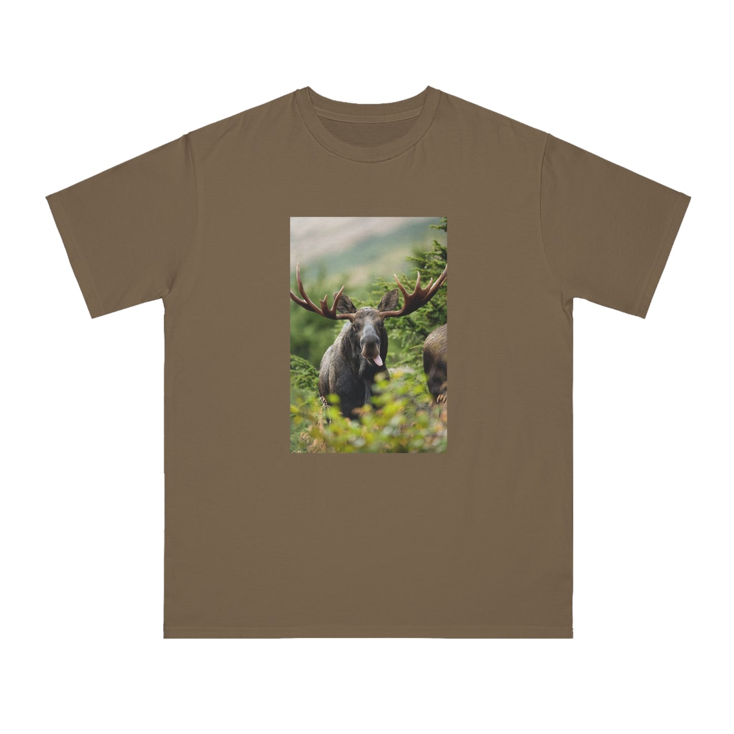 Moose