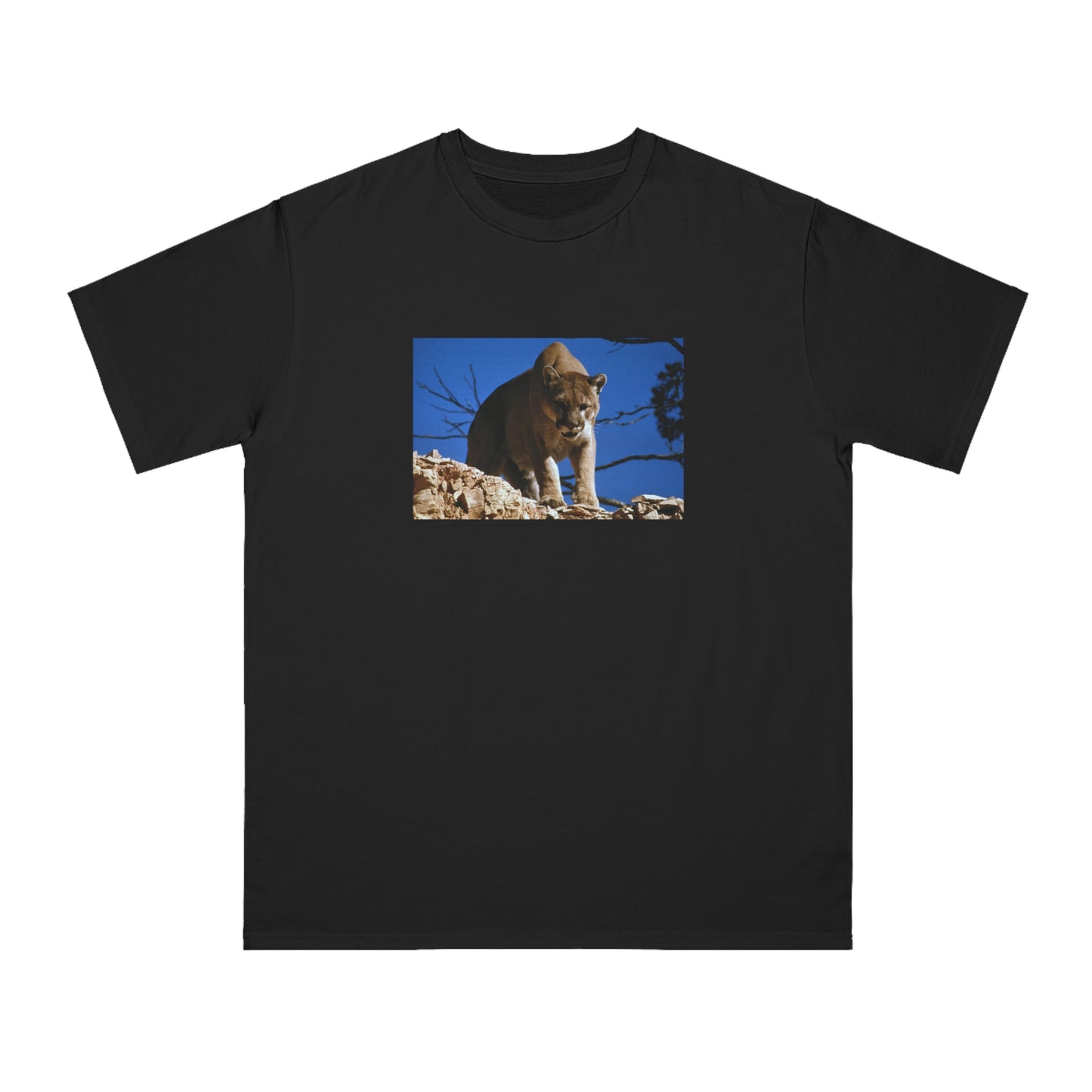 Mountain Lion