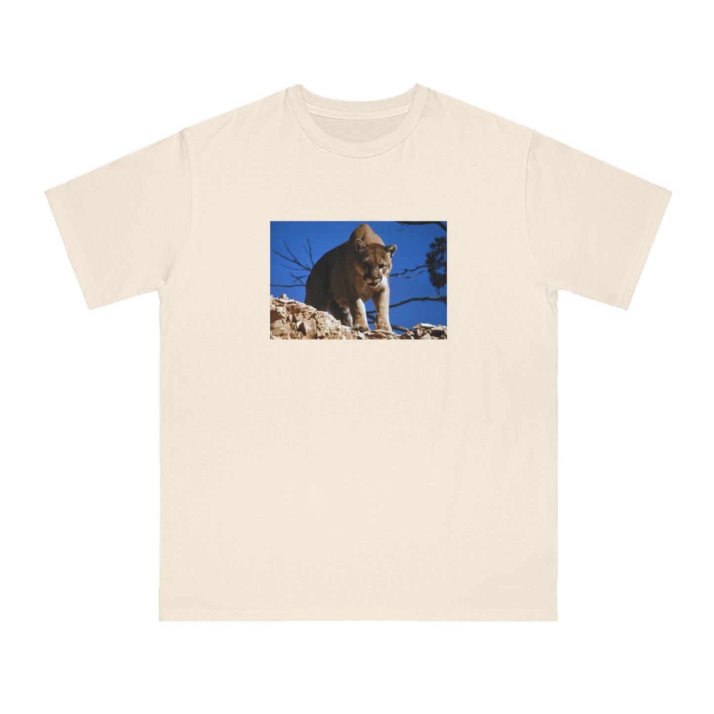 Mountain Lion