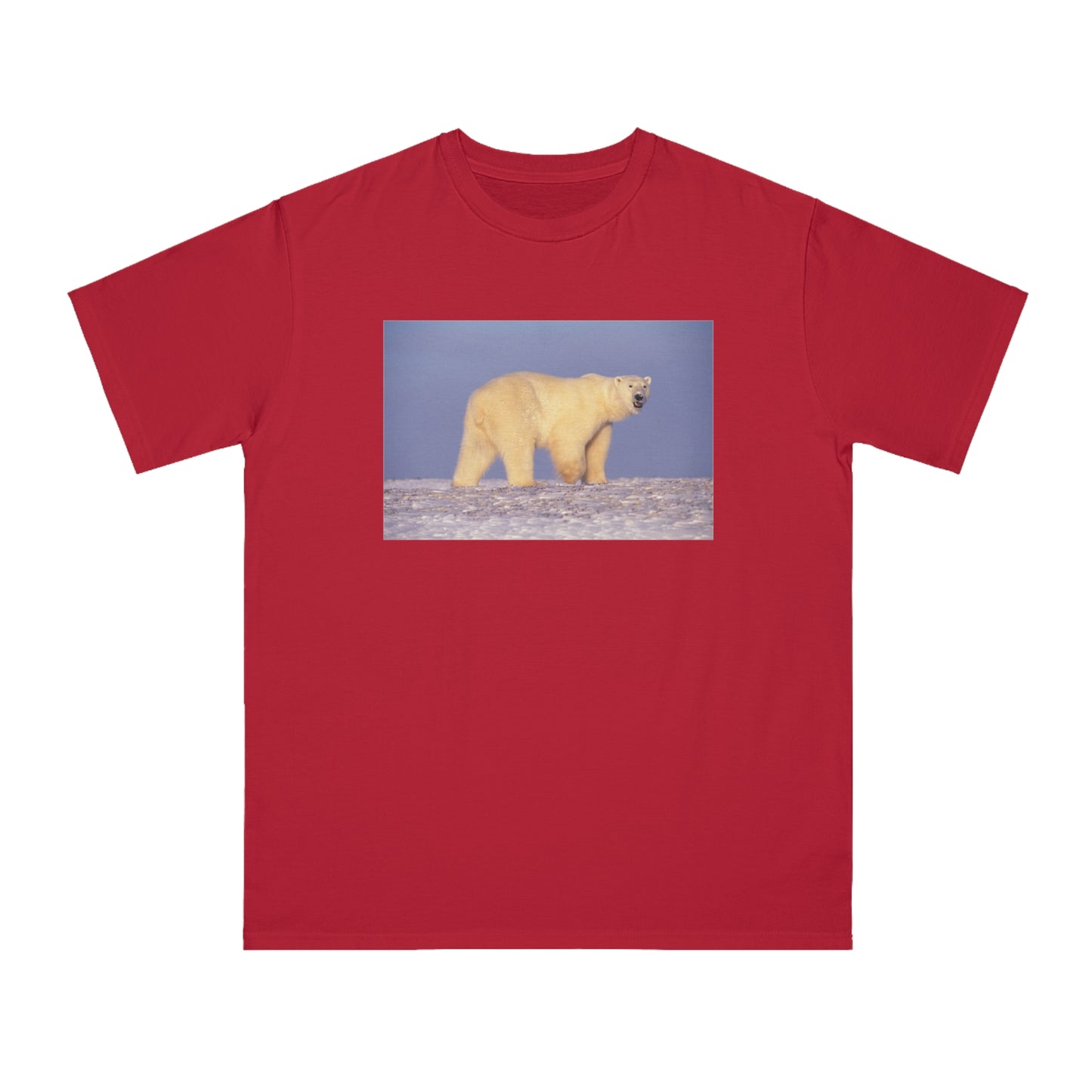 Polar Bear