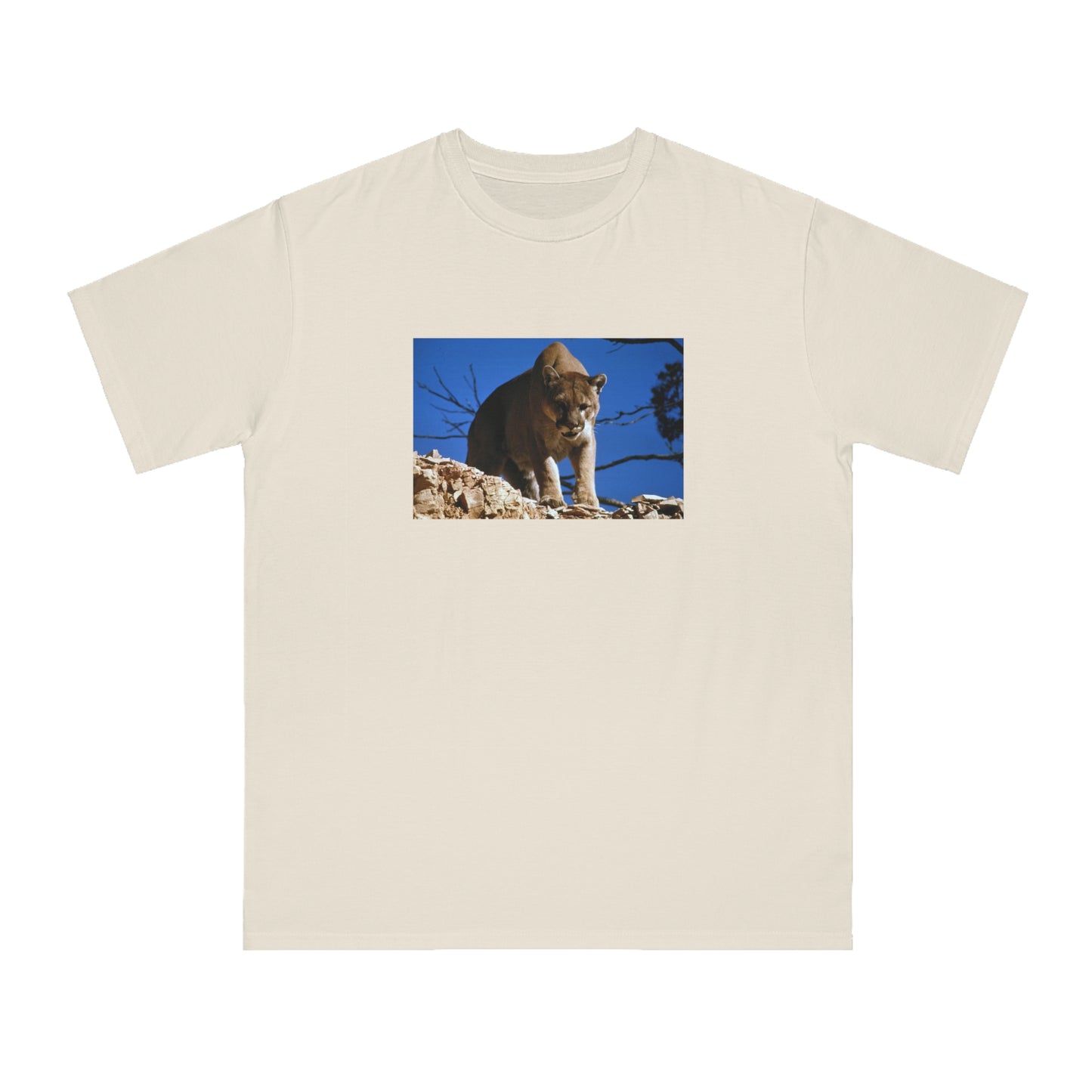 Mountain Lion