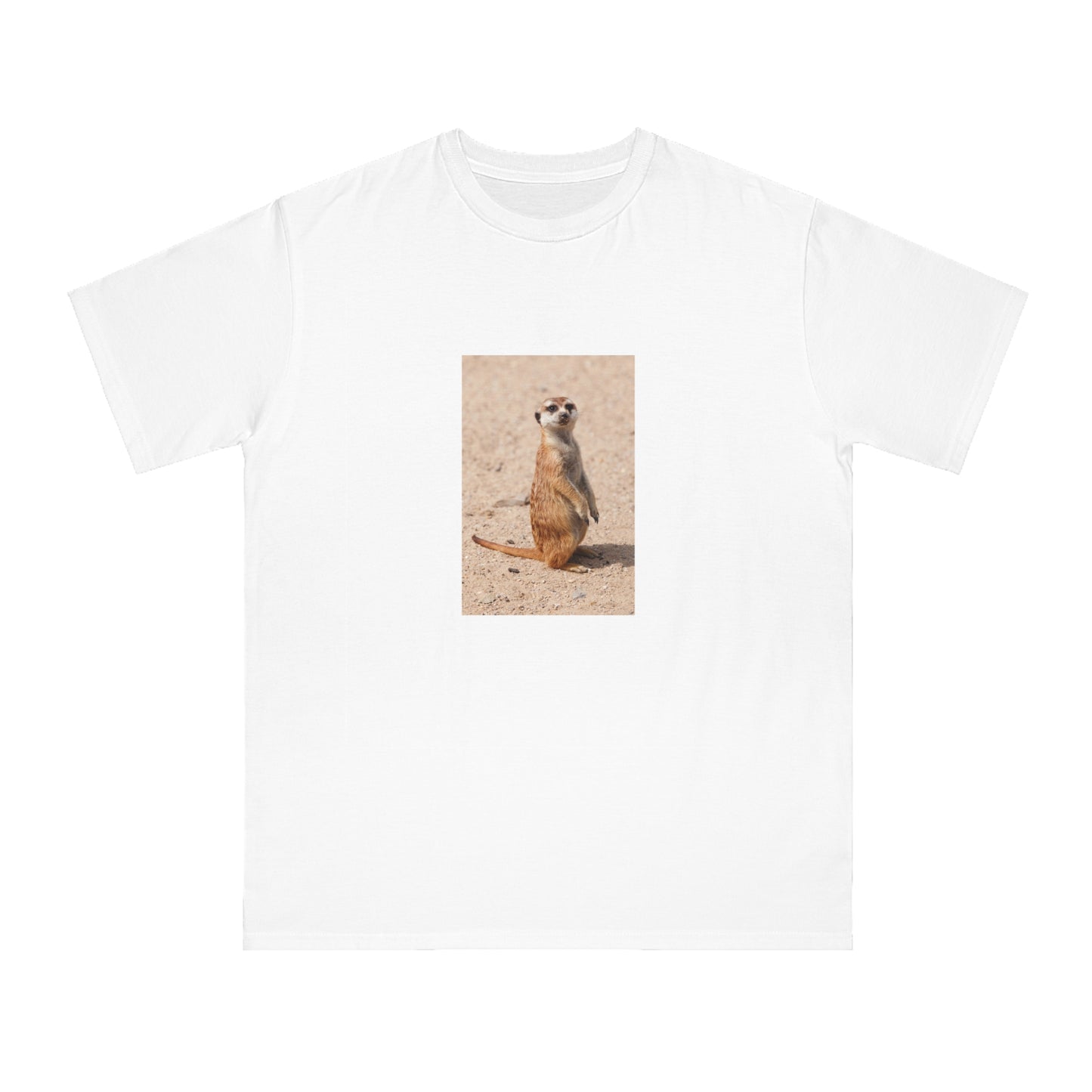 Meerkat