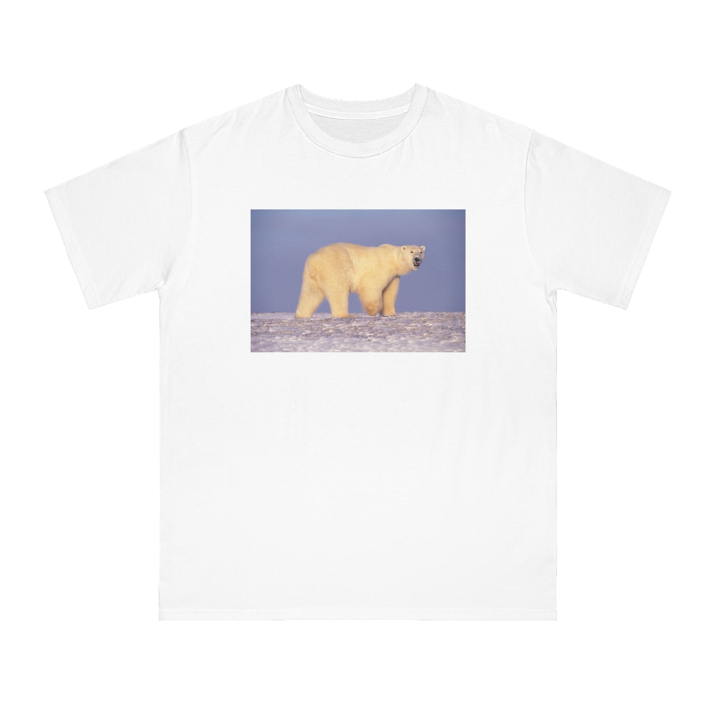 Polar Bear