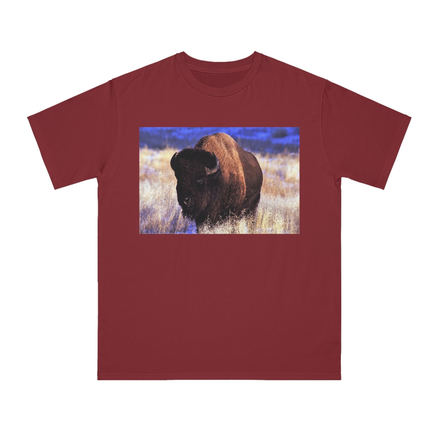 Buffalo
