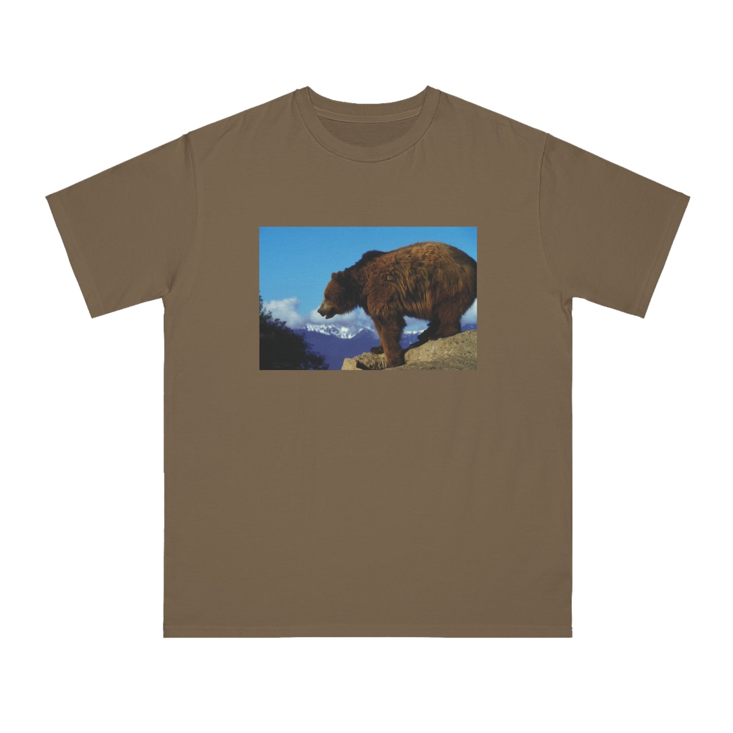Bear