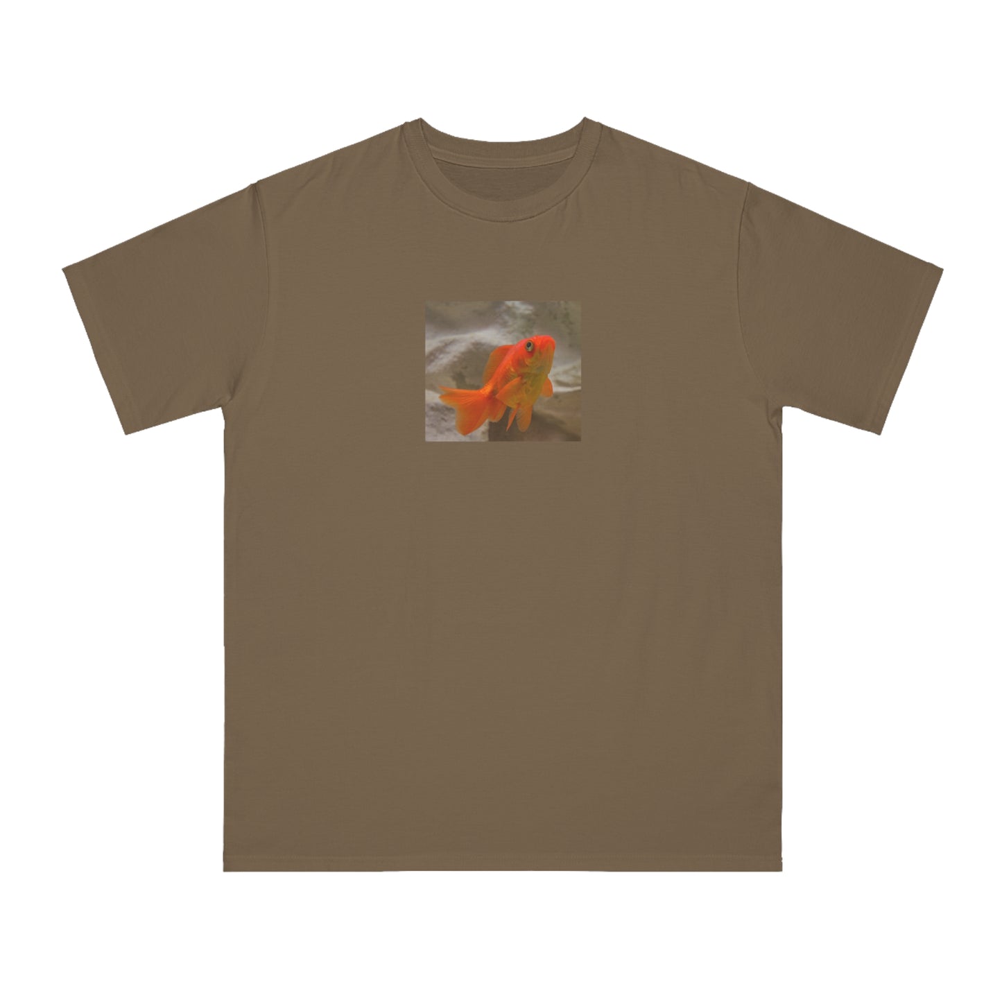 Goldfish