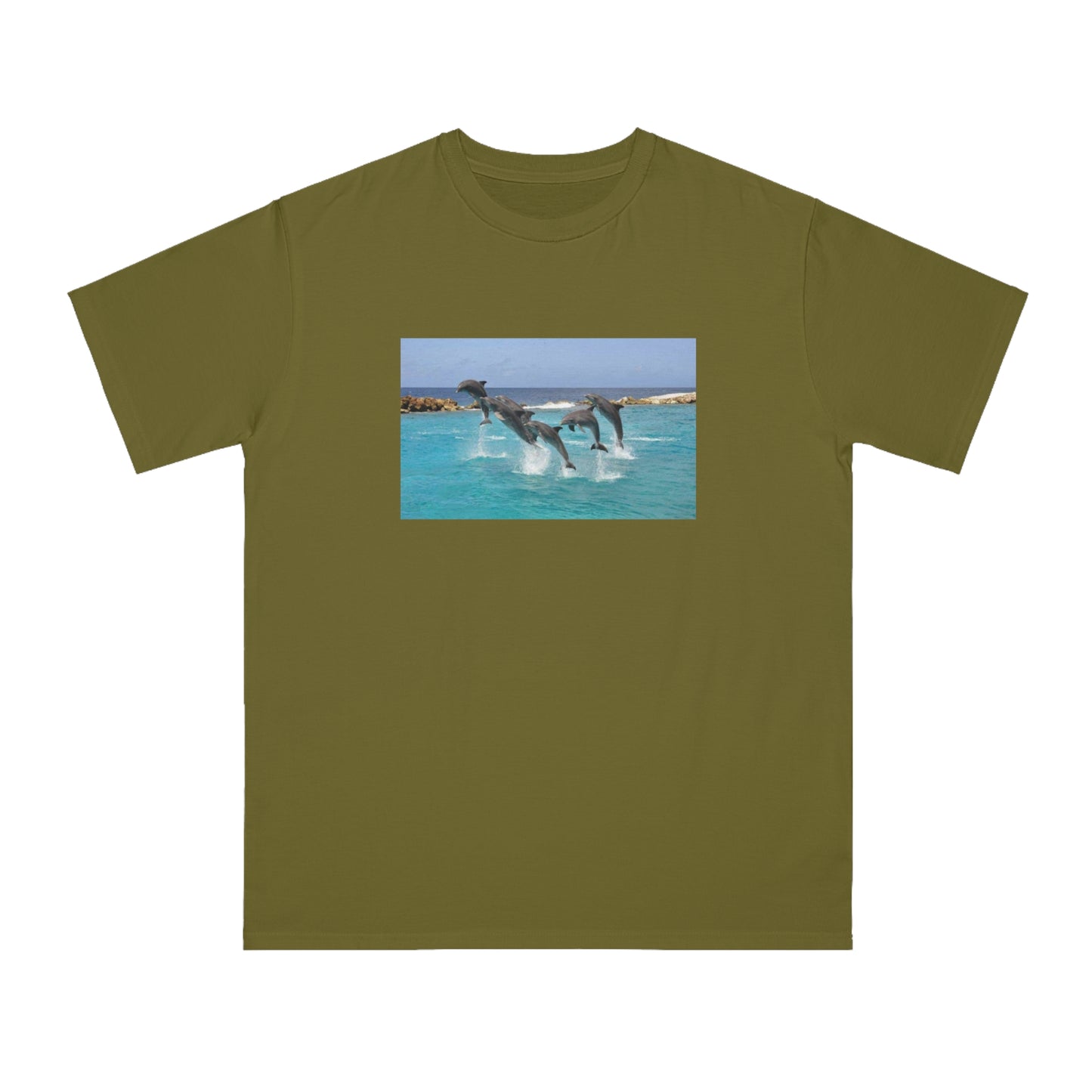 Dolphin
