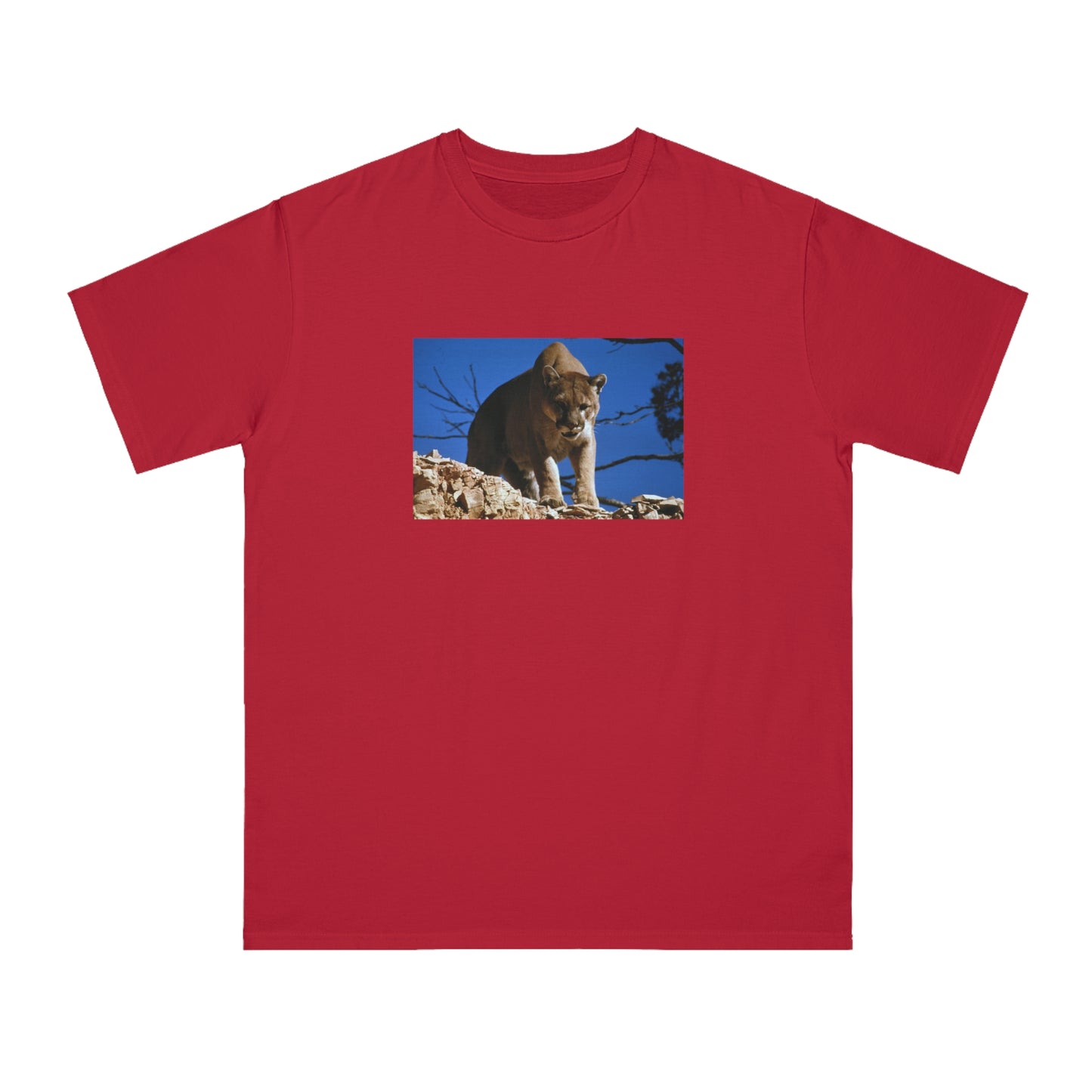 Mountain Lion