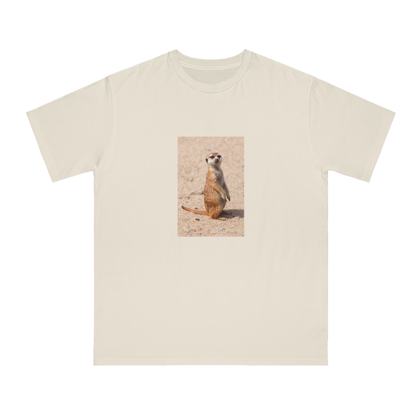 Meerkat