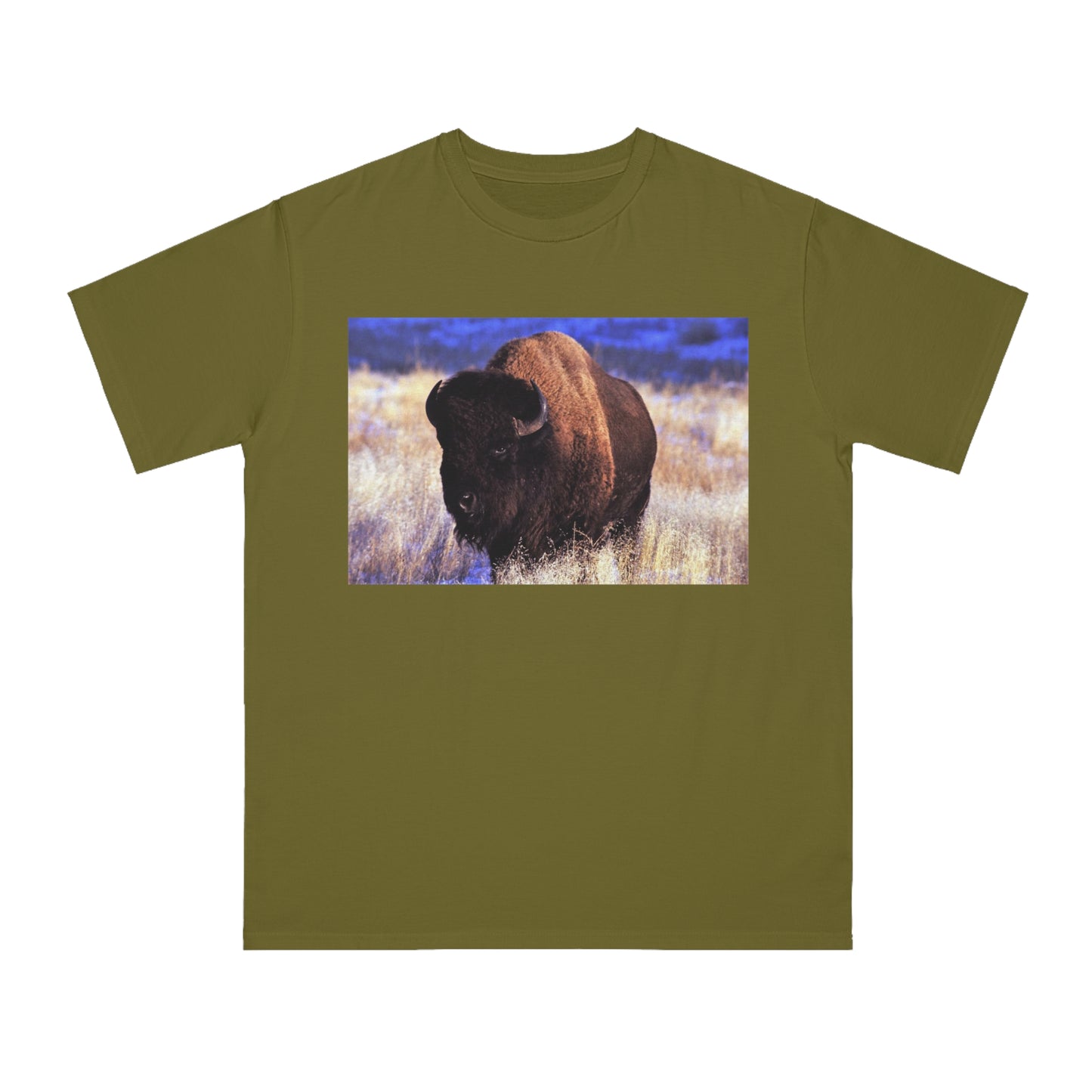 Buffalo