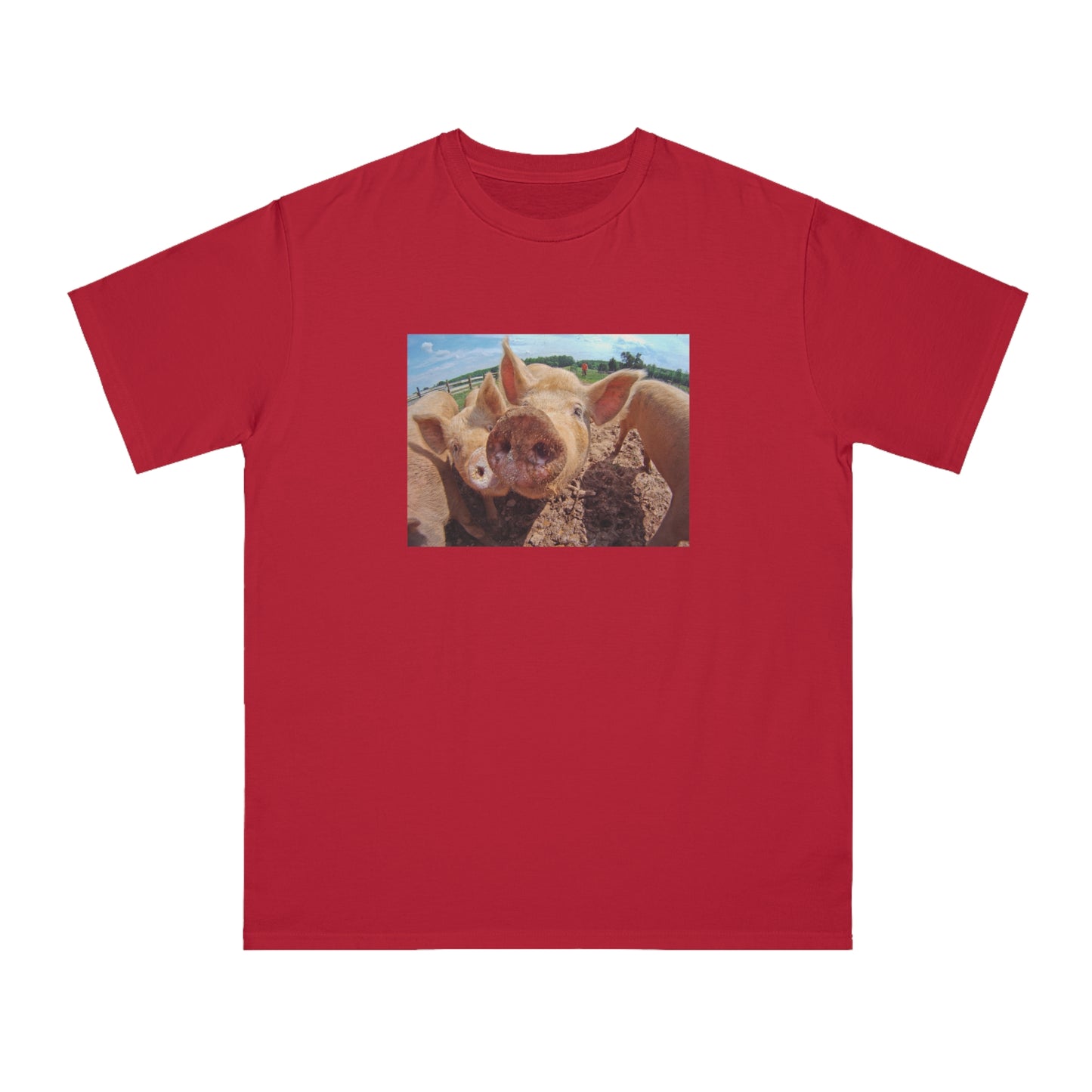 Pig
