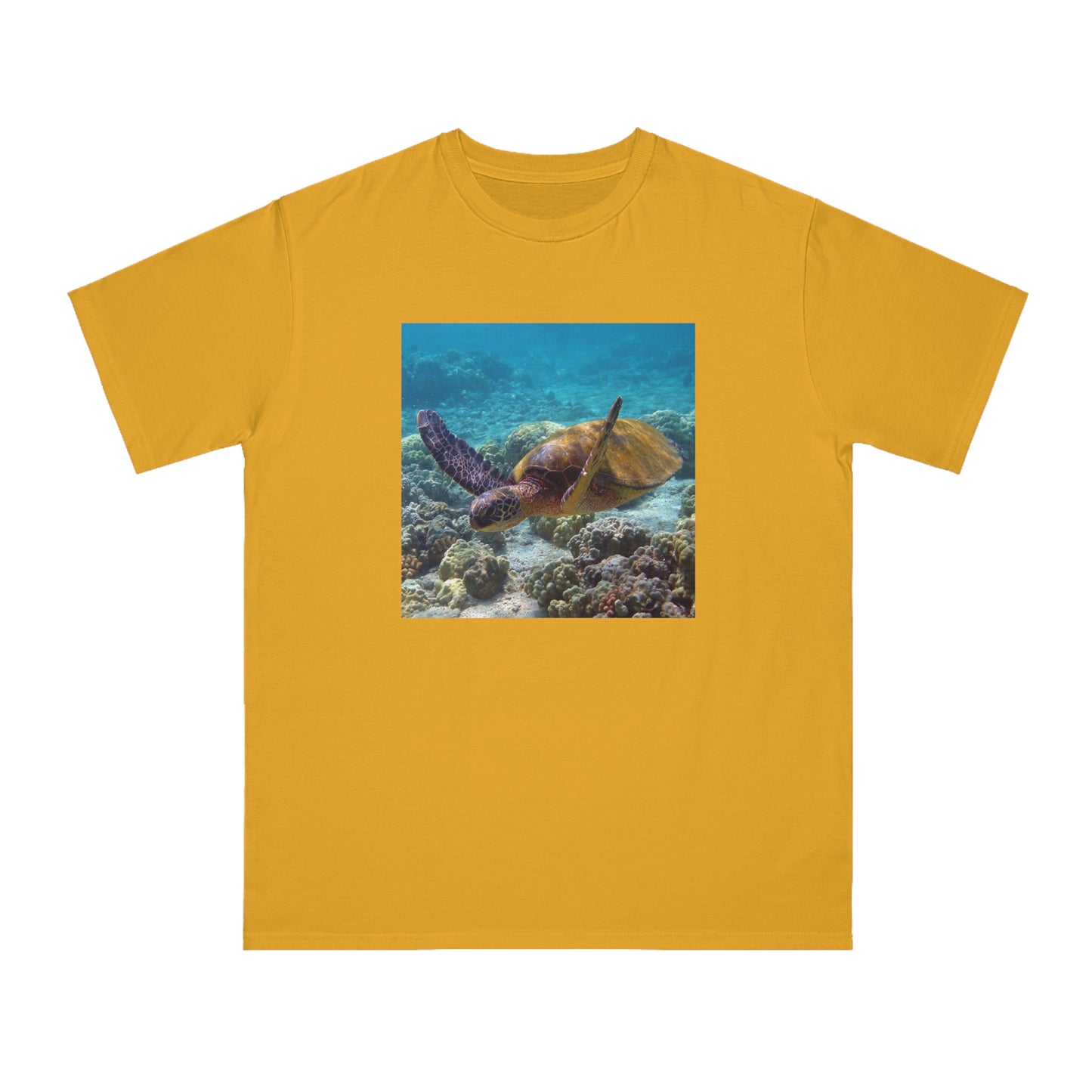 Sea Turtle