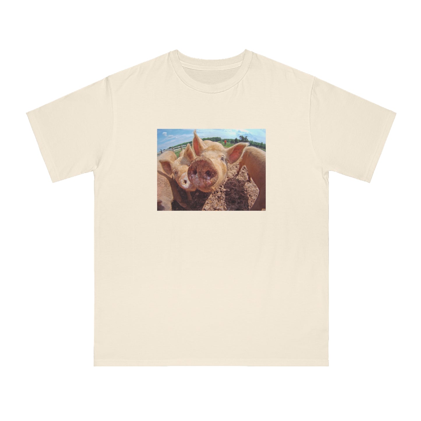 Pig