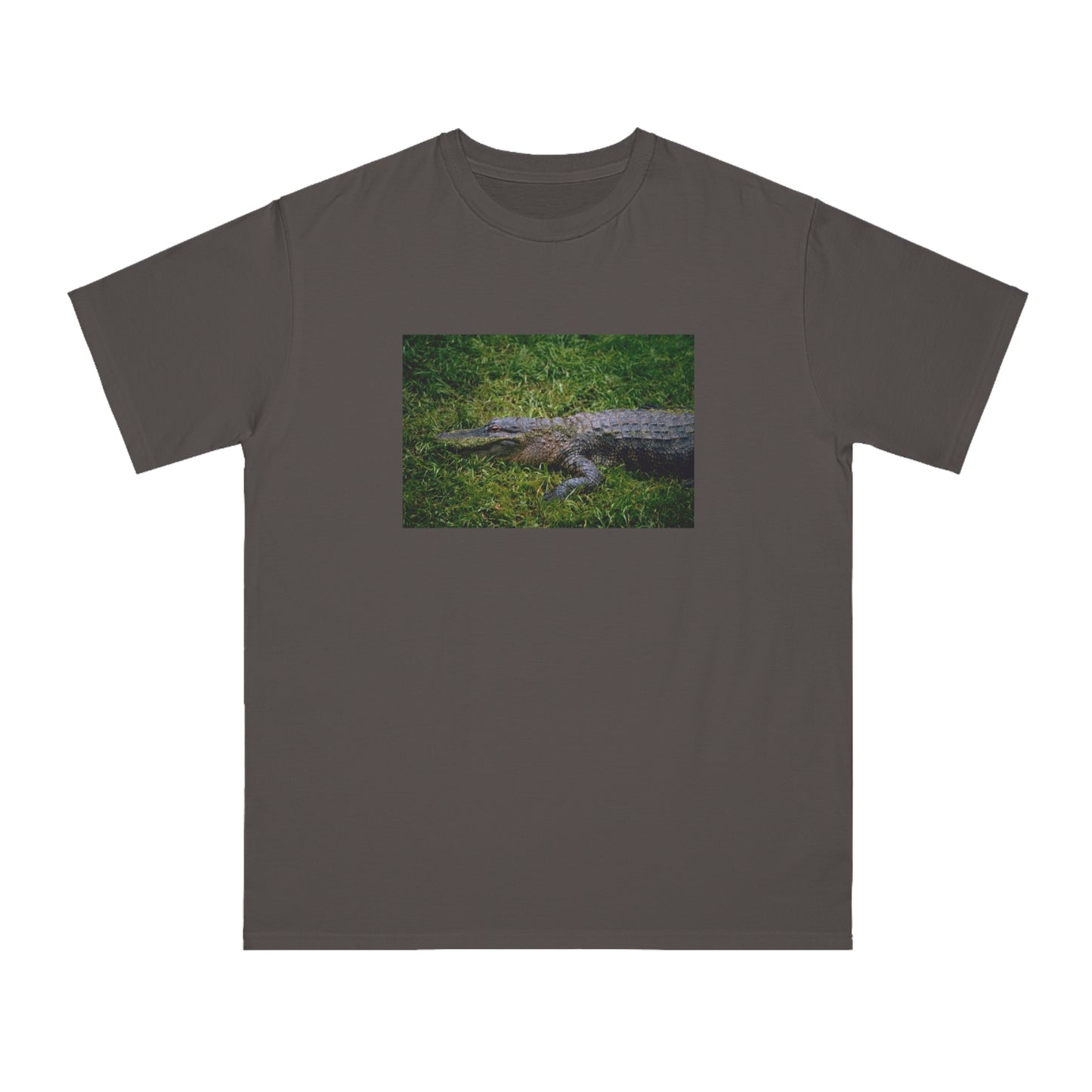 Alligator