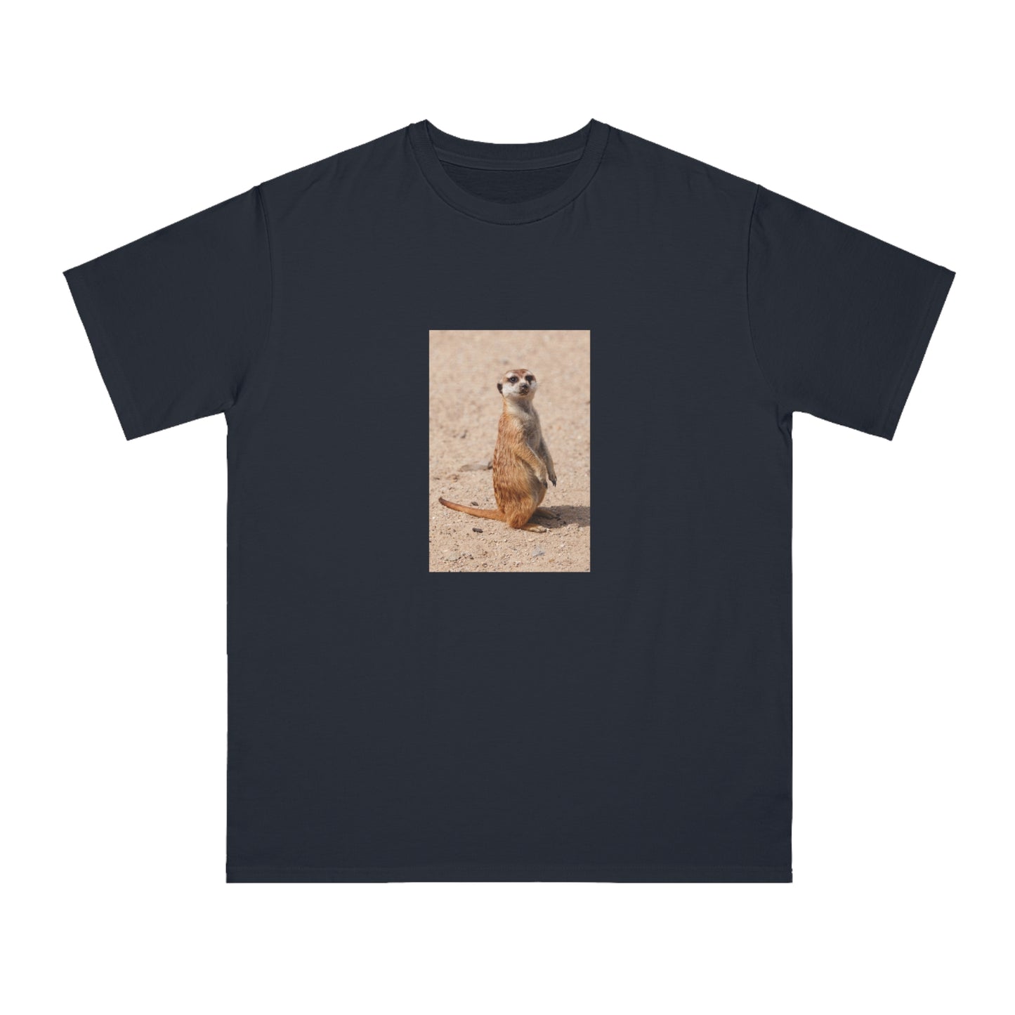 Meerkat