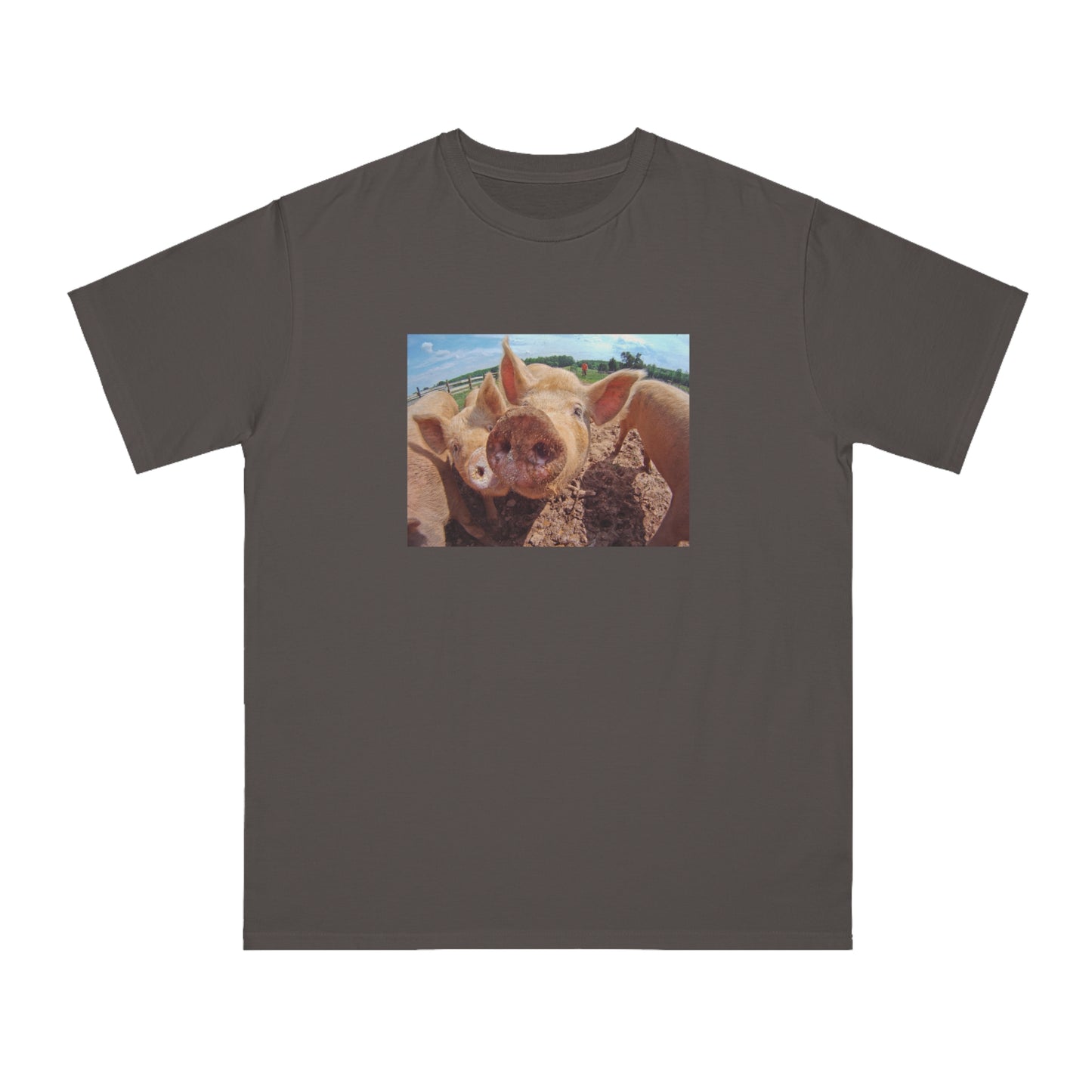 Pig