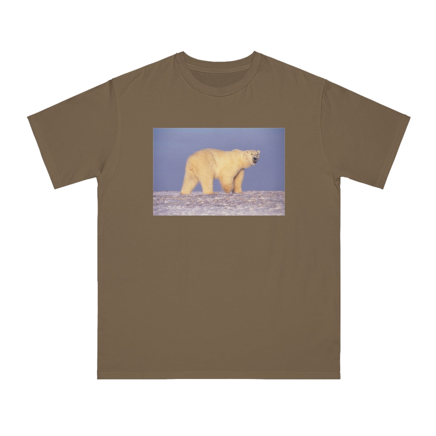 Polar Bear