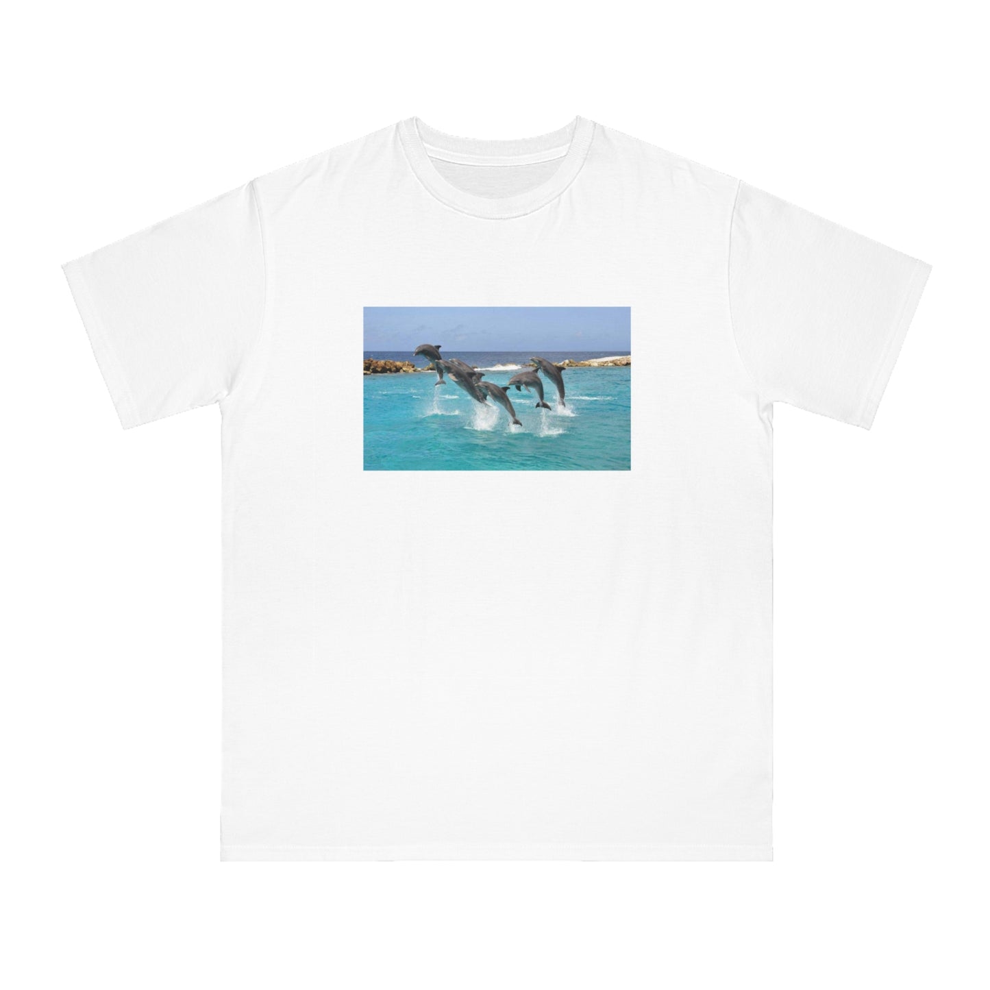 Dolphin