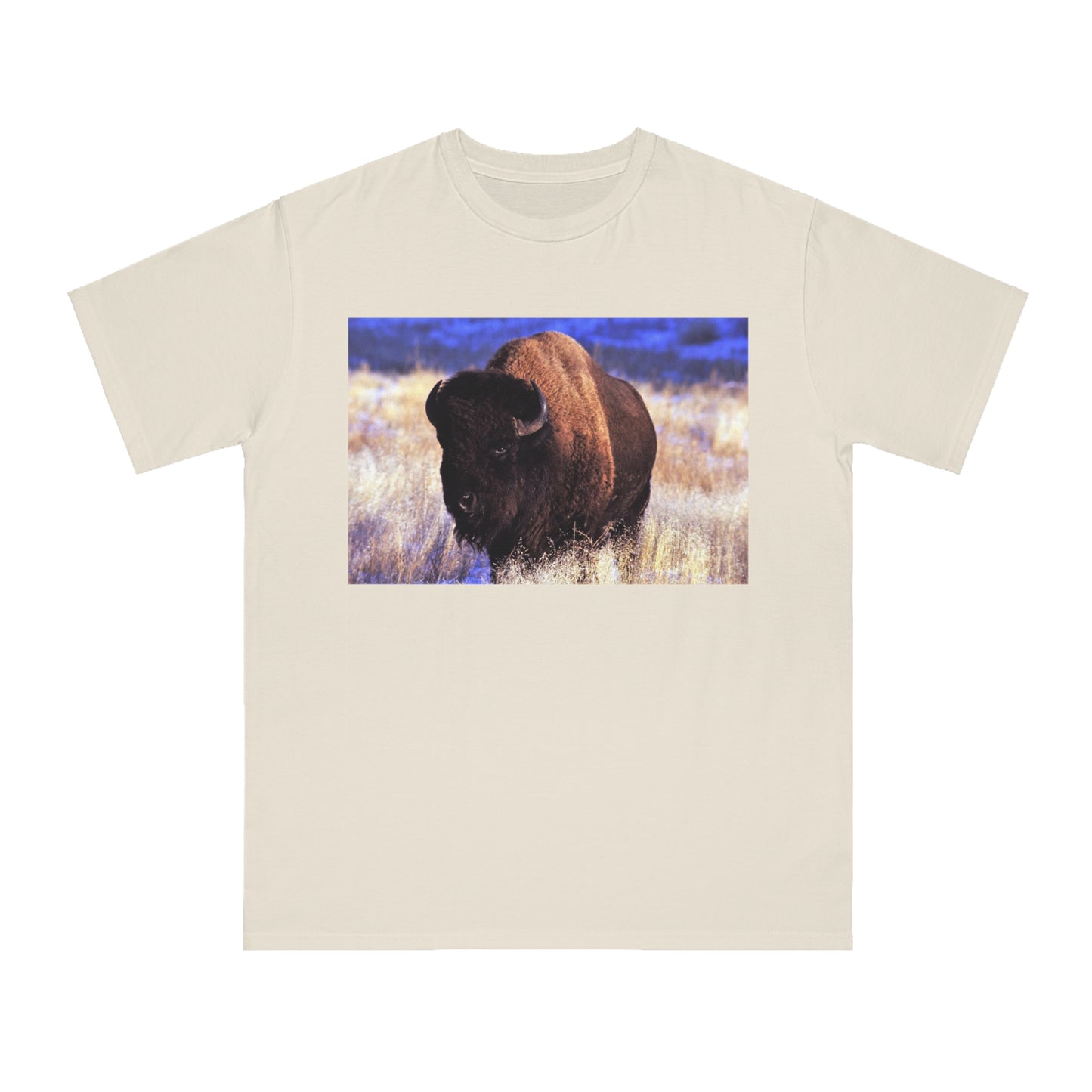 Buffalo