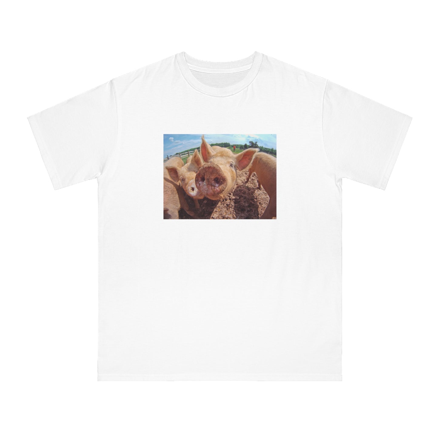Pig